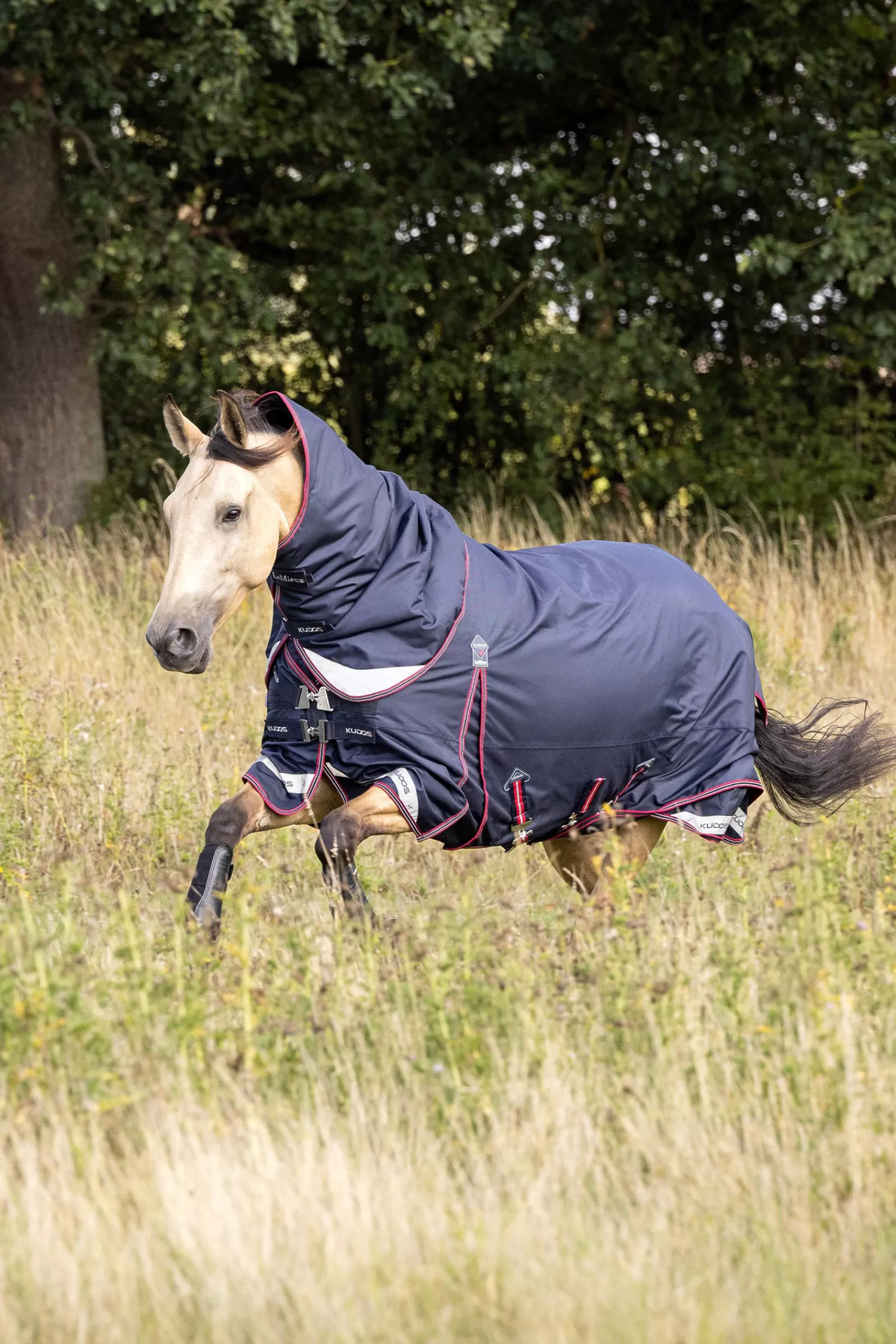 Kudos Lightweight Turnout Rug, 50G>lemieux Online