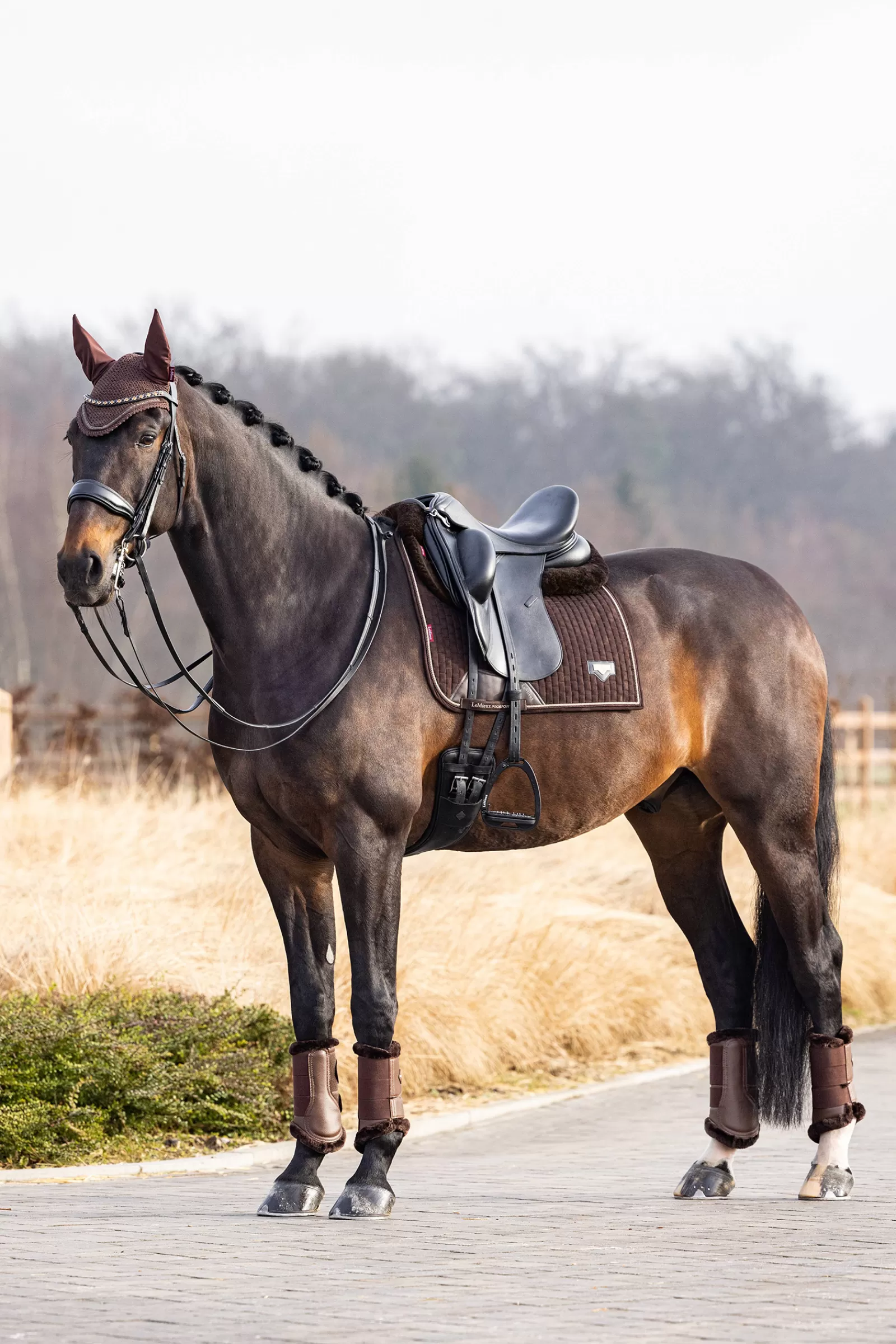 lemieux Dressursjabraker | Puissance Sottosella Da Dressage In Camoscio Brown