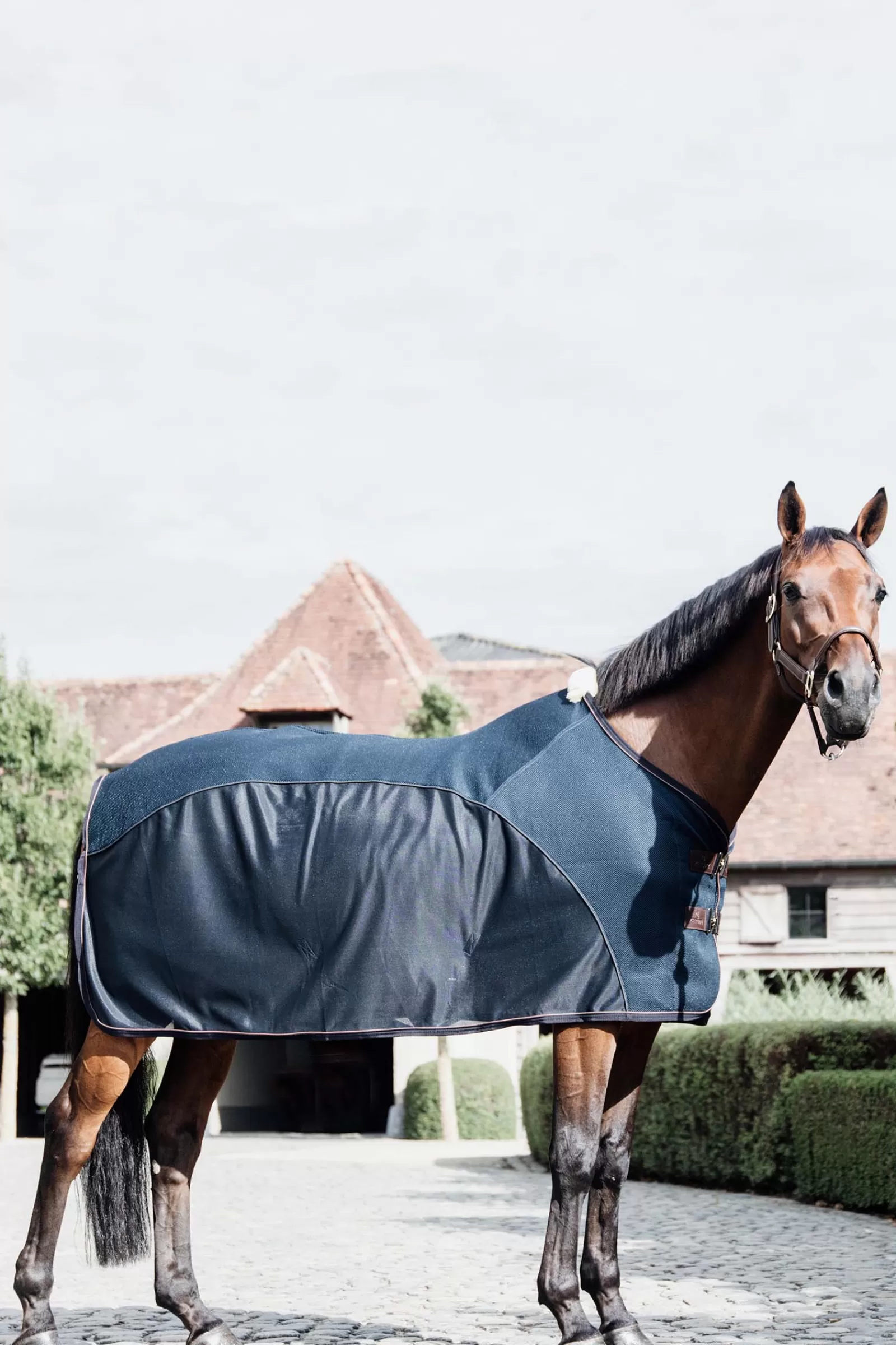 Lenzuolo Refrigerante Combinato In Rete Horsewear>kentucky Outlet