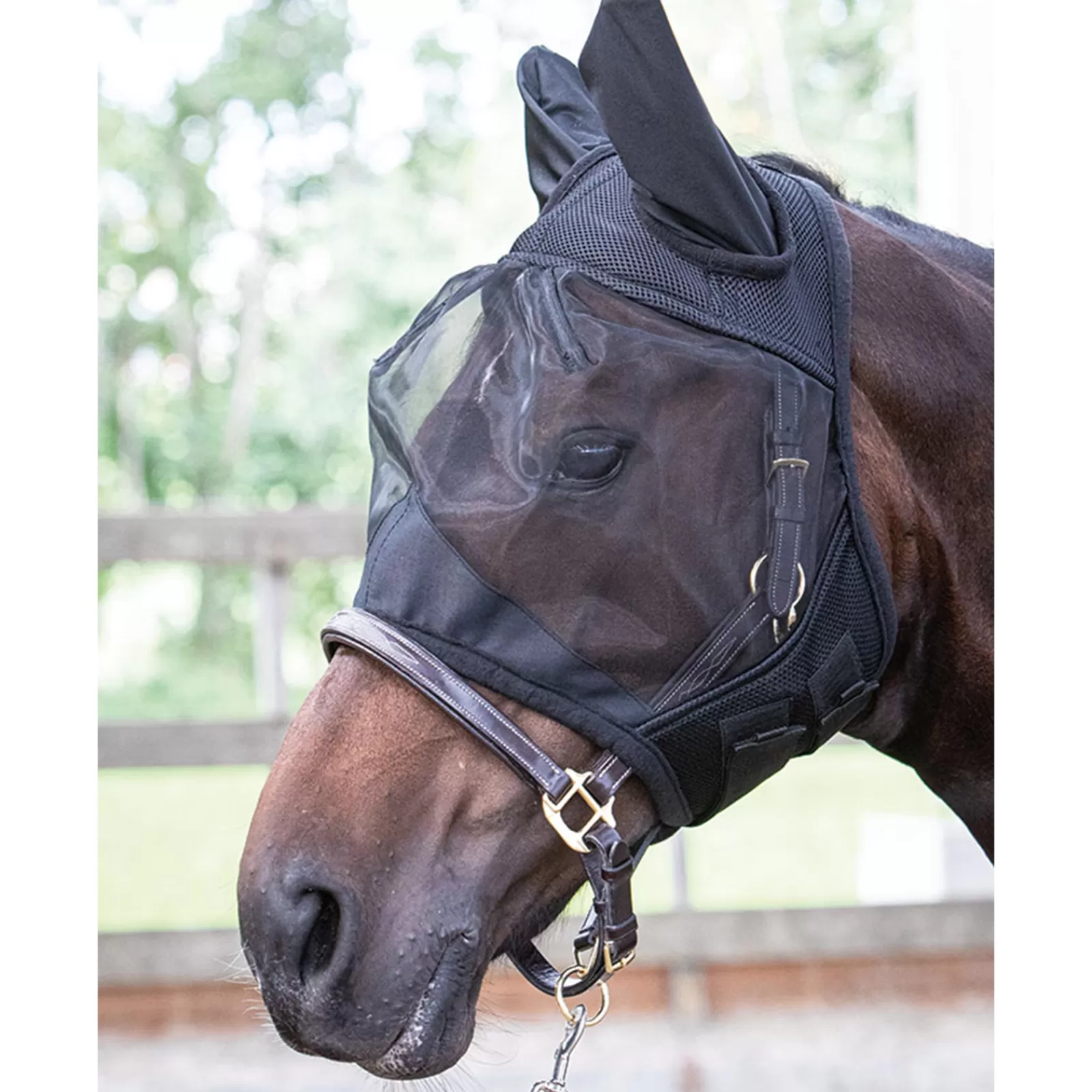 Maschera Antimosche Del Cavallo Di Harry>harryshorse Discount