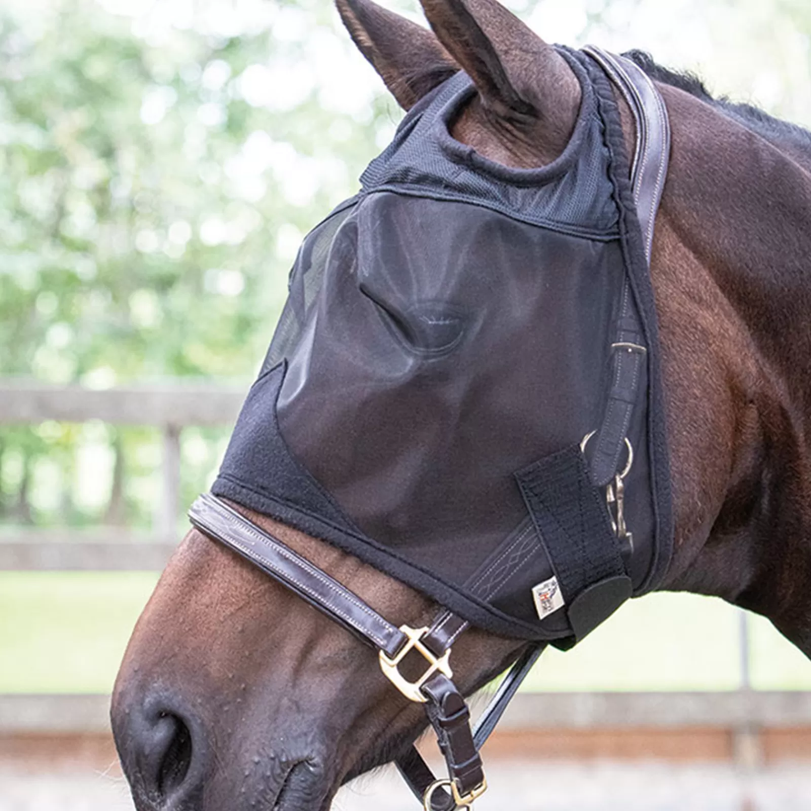 Maschera Antimosche Di Harry'S Horse Flyshield Senza Orecchie>harryshorse Best Sale