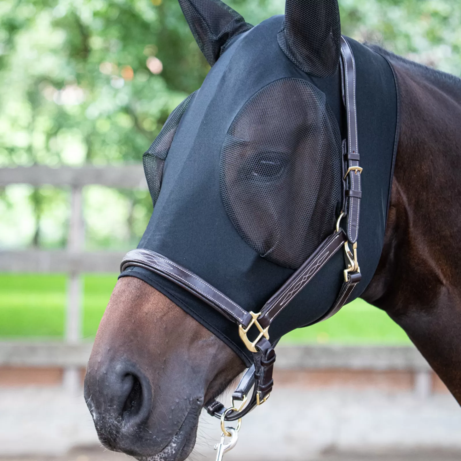 Maschera Antimosche Di Harry'S Horse Skinfit Con Orecchie>harryshorse Online