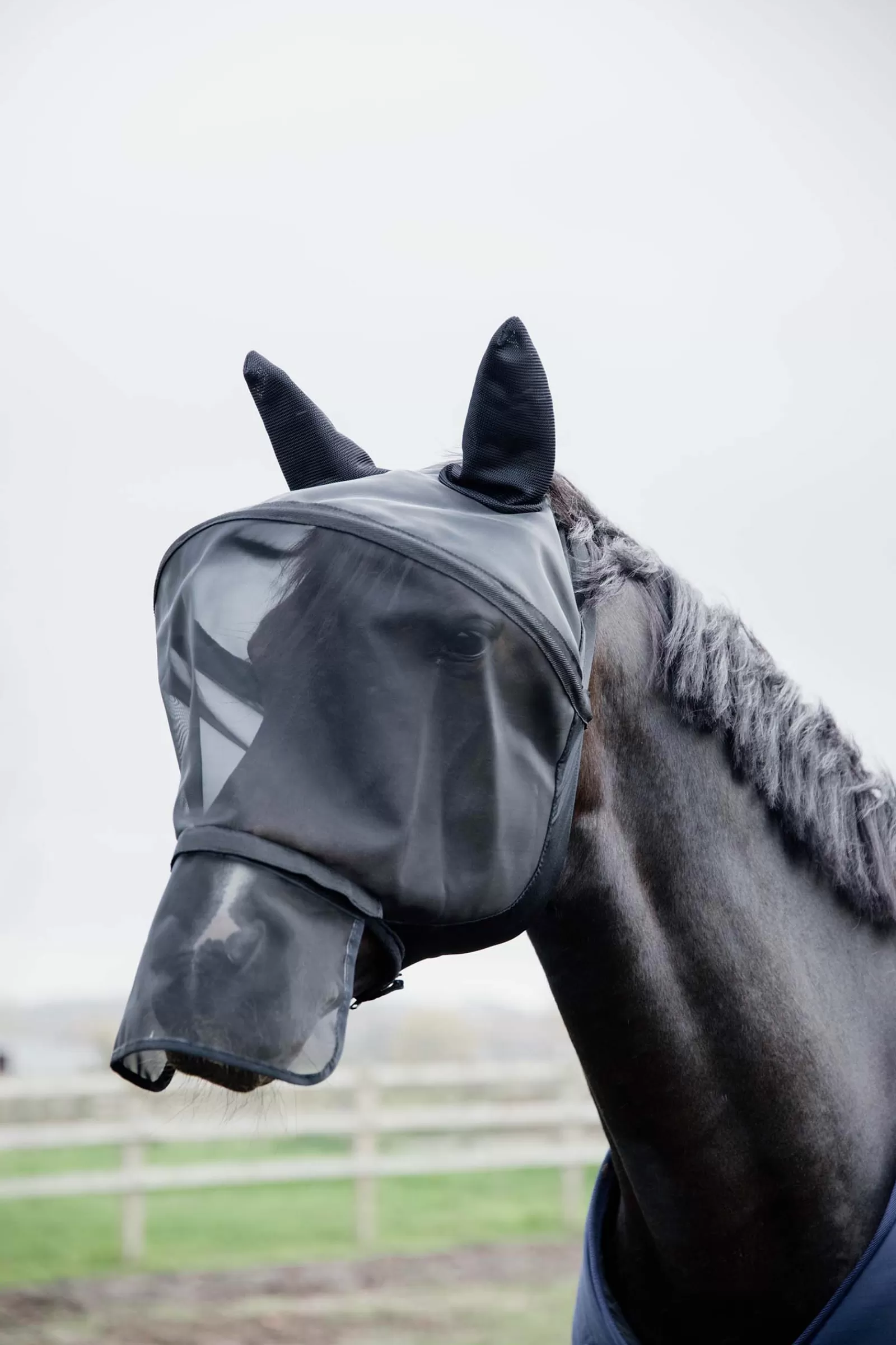 Maschera Antimosche Horsewear Pro>kentucky Best