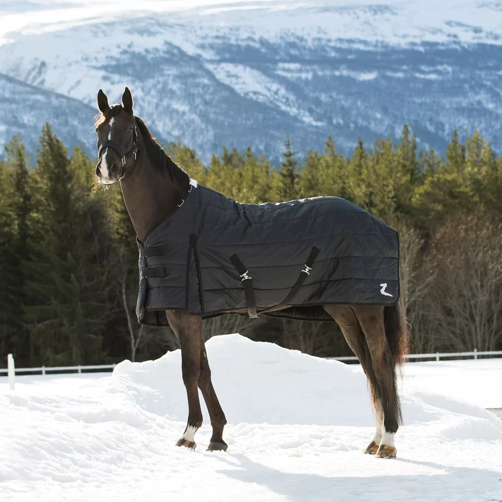 Nevada Coperta Per La Mezza Stagione Da Scuderia, 100 G>* New