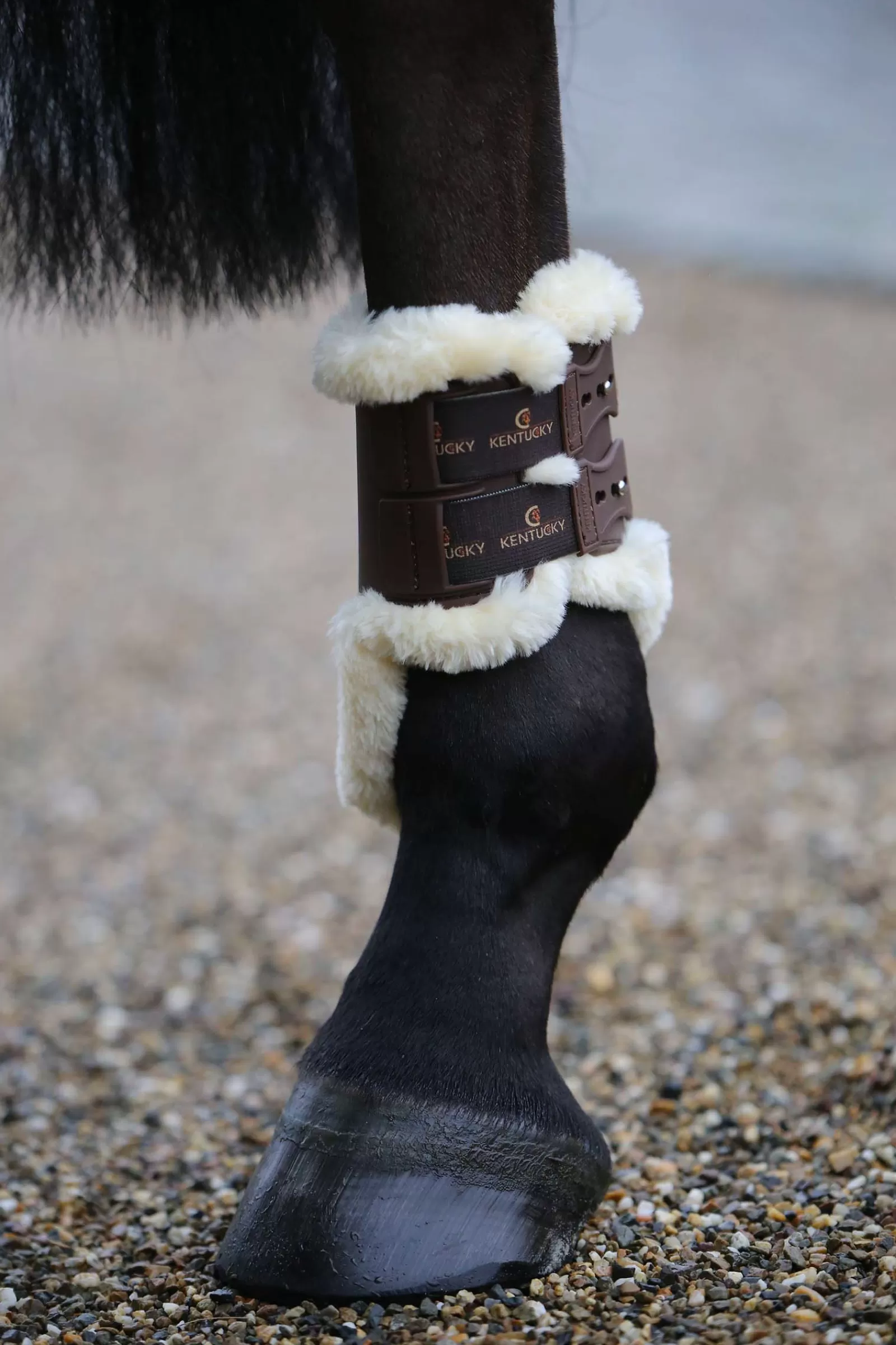 kentucky Paranocche | Paranocche In Pelle Di Pecora Horsewear Elasticizzati Brown