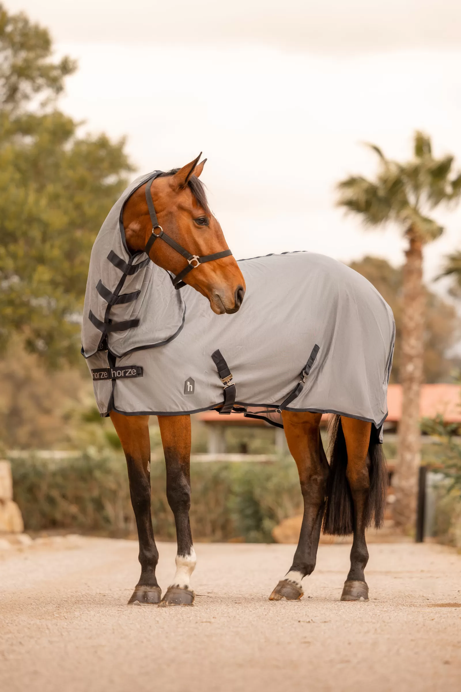 Paso Fino Coperta Antimosche Con Collo Rimovibile E Protezione Uv>* Online