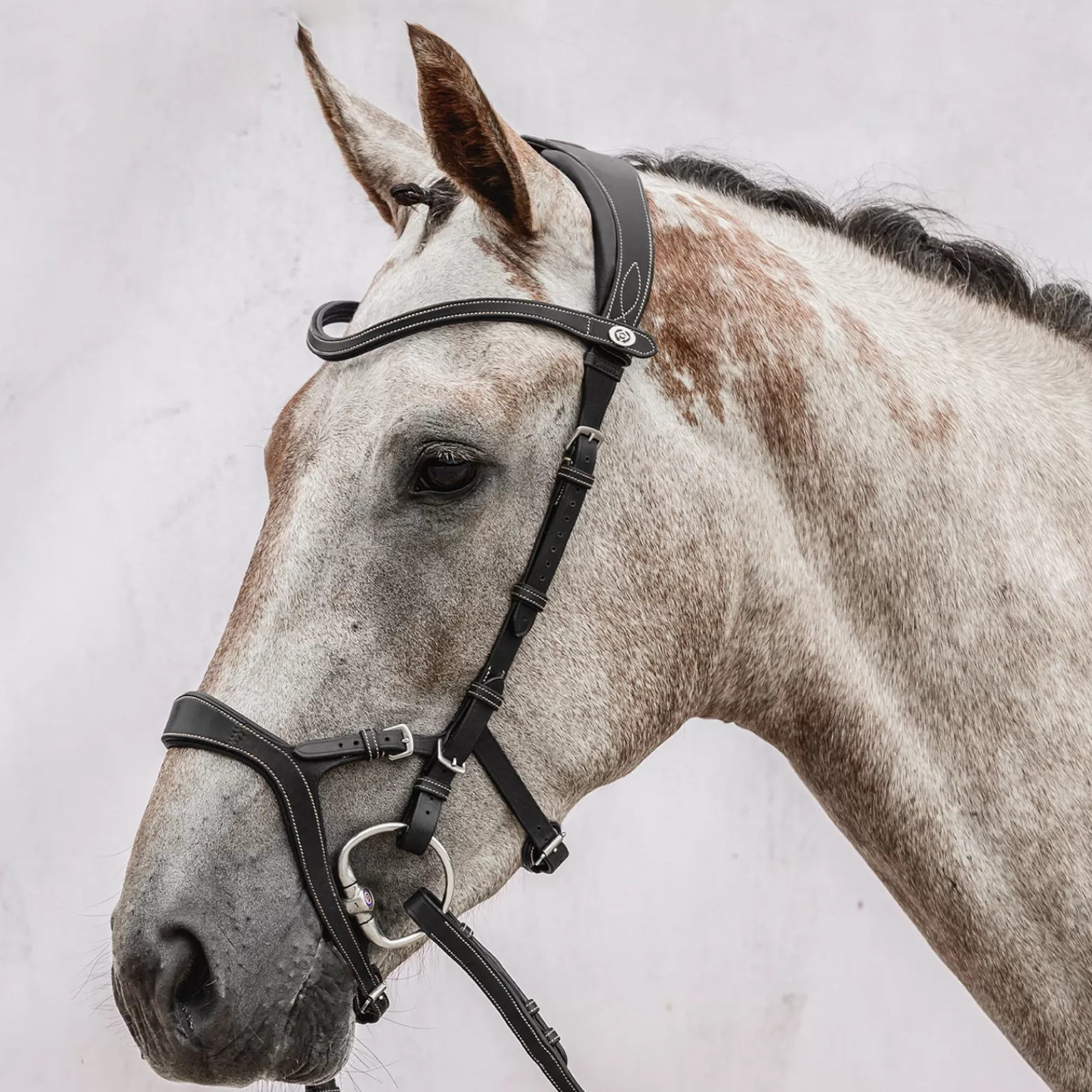 psofsweden Briglie E Chiudibocca | Ps Della Svezia Nirak Bridle Black