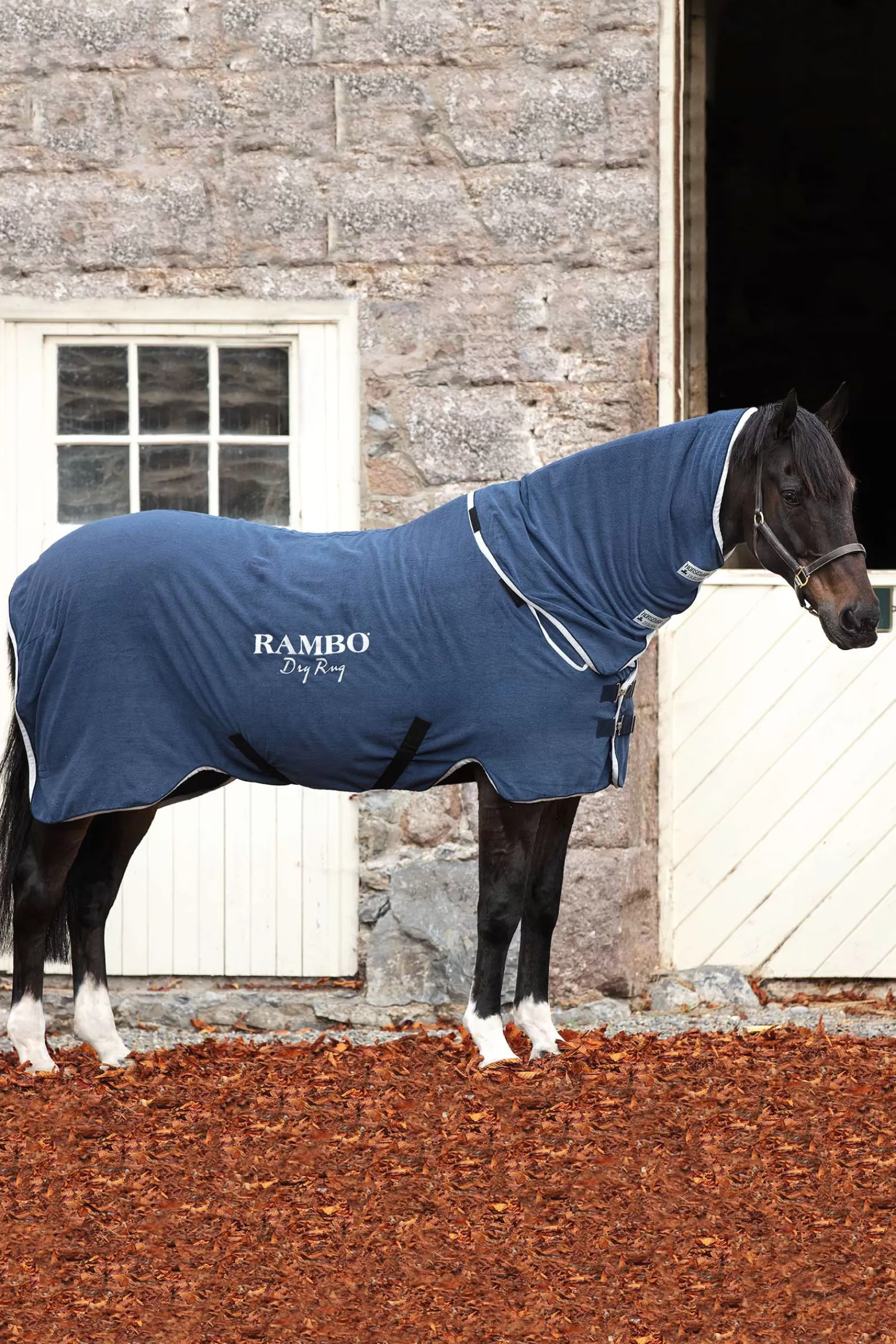 Raffreddatore A Secco Rambo >horseware Best Sale