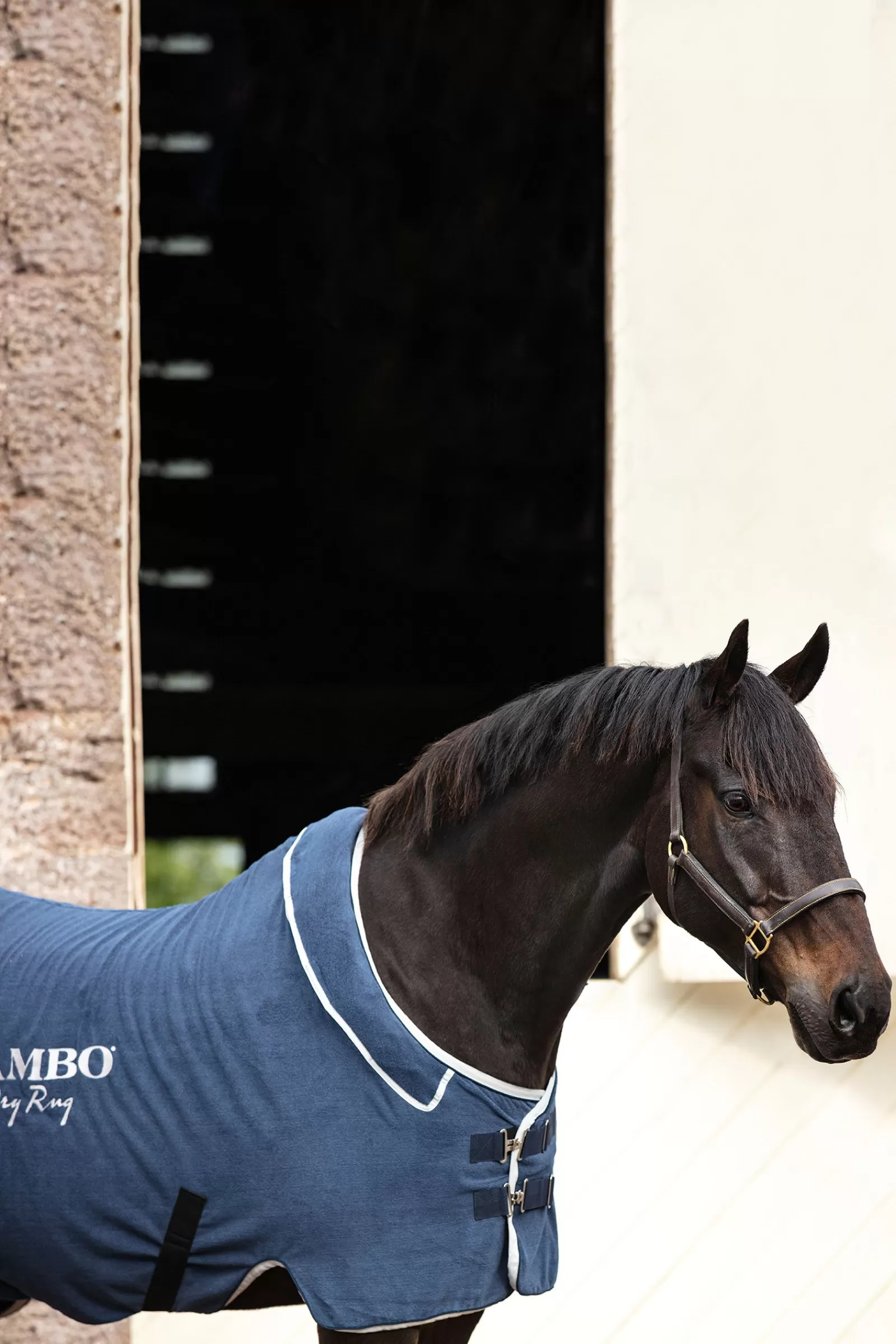 Raffreddatore A Secco Rambo >horseware Best Sale