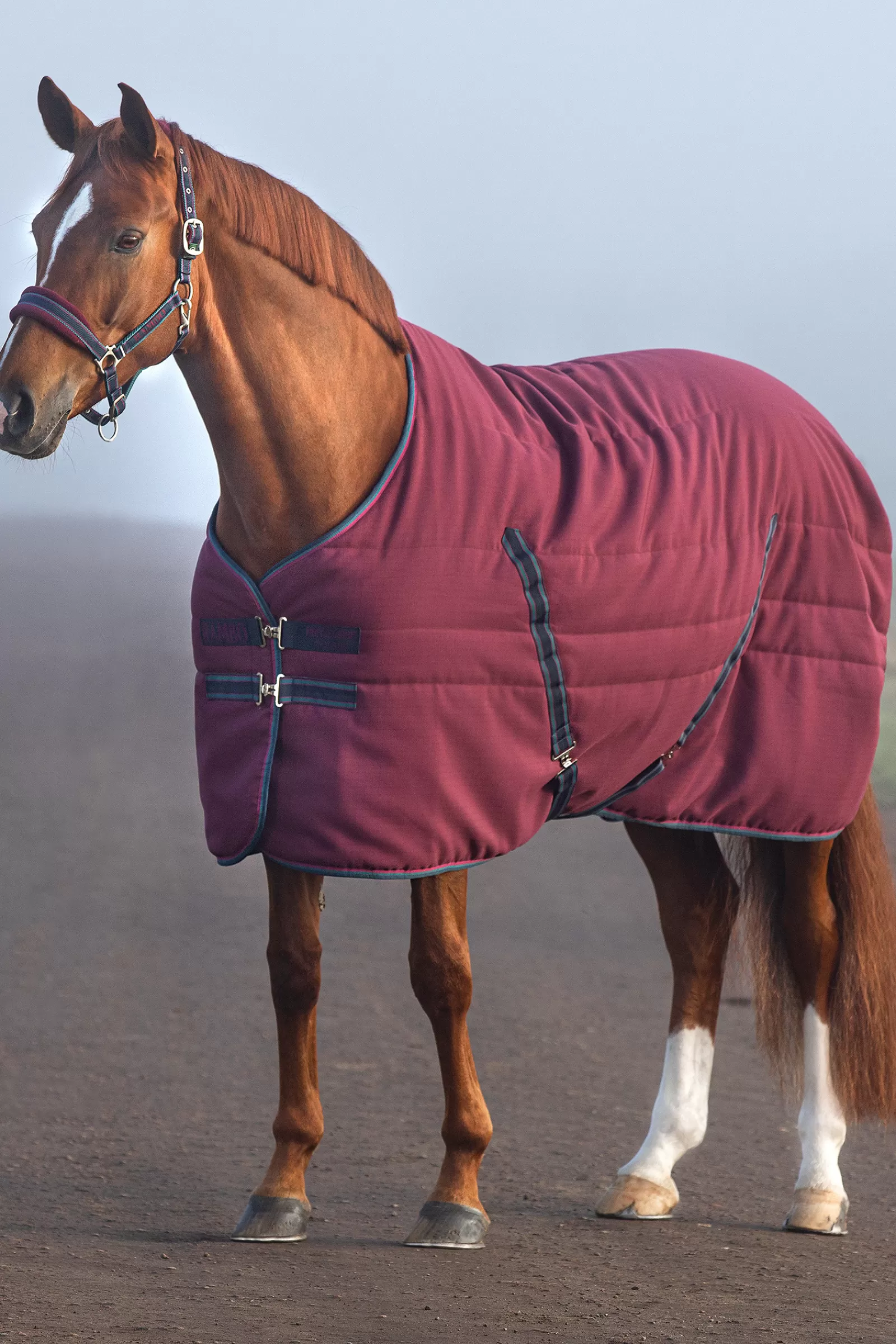 Rambo Coperta Da Scuderia Con Fodera Goffrata, 100 Gr>horseware Best Sale