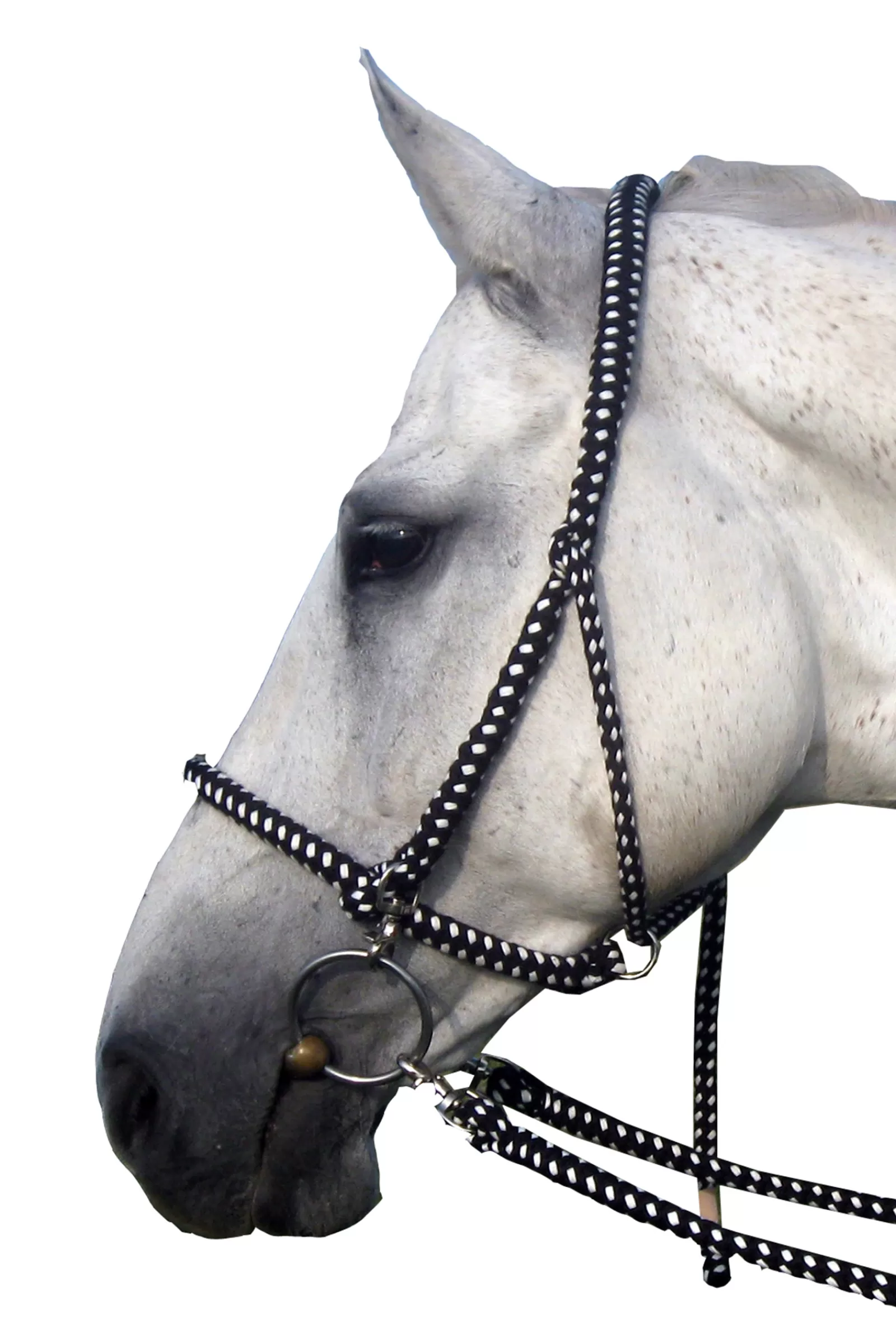 Redini In Cotone Con Briglie Capestro Gregor Incluse>fra Outlet