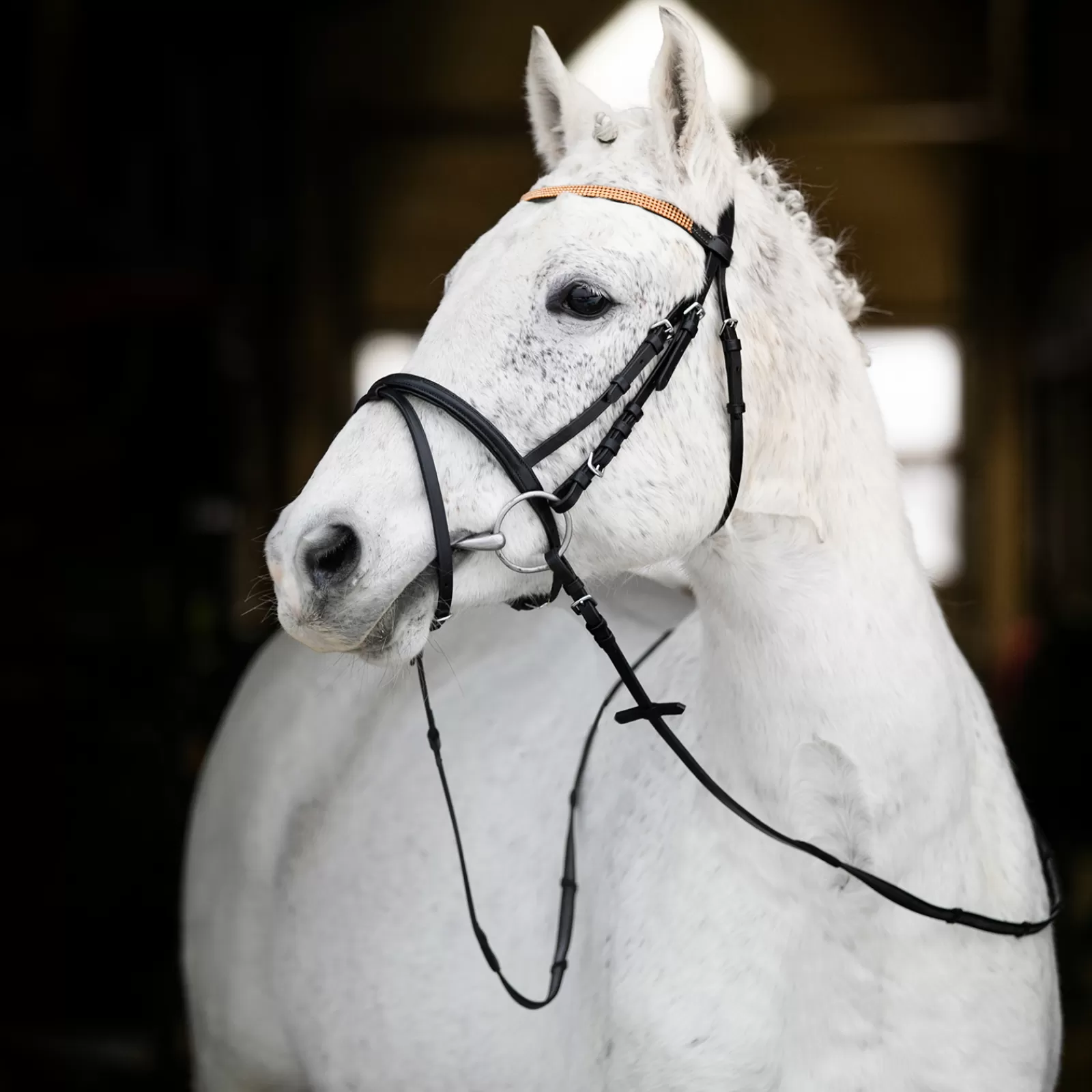 * Briglie E Chiudibocca | Redini Per Pony Nero/Oro