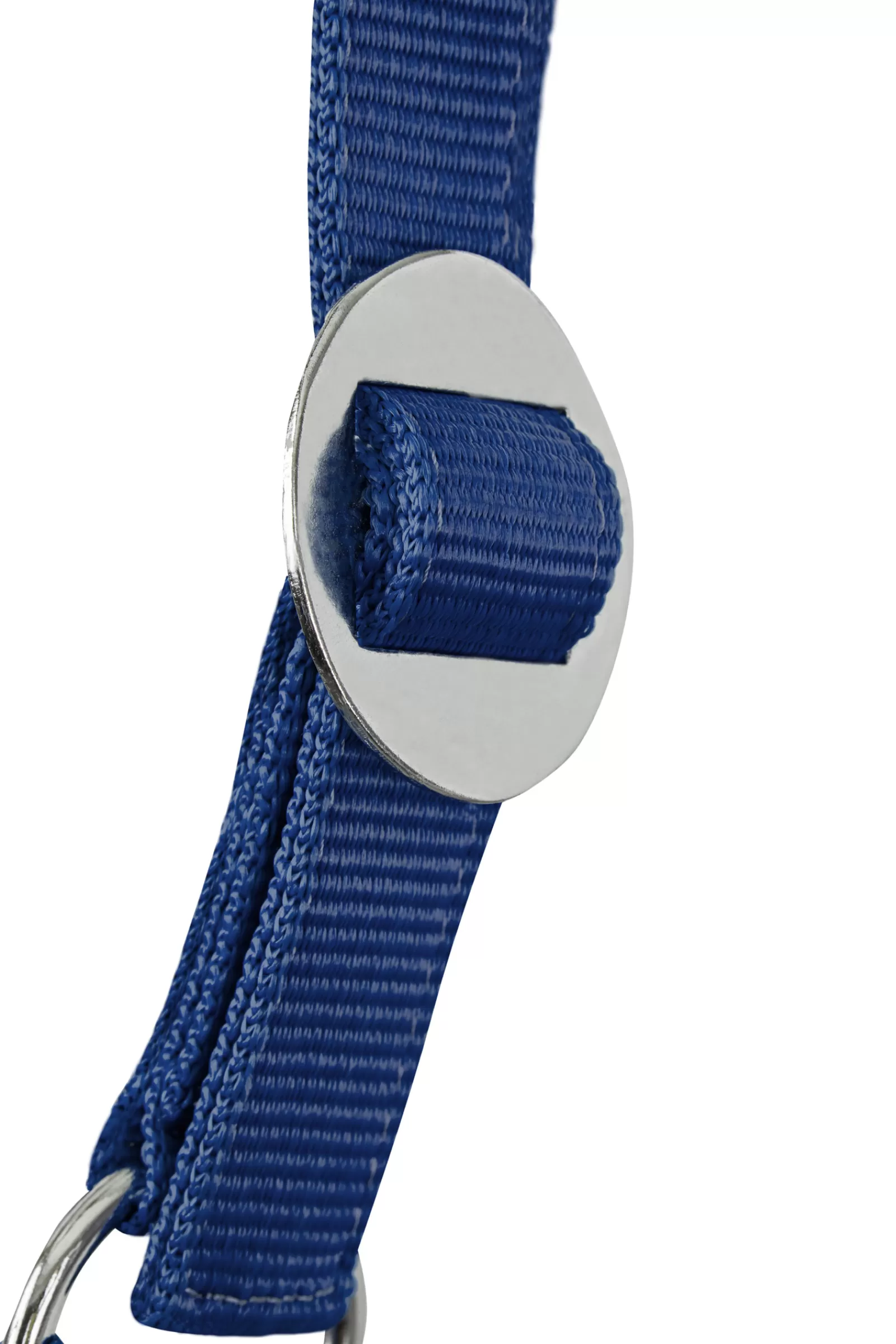 Set Di Cavezza E Corda Per Guinzaglio >* Best Sale