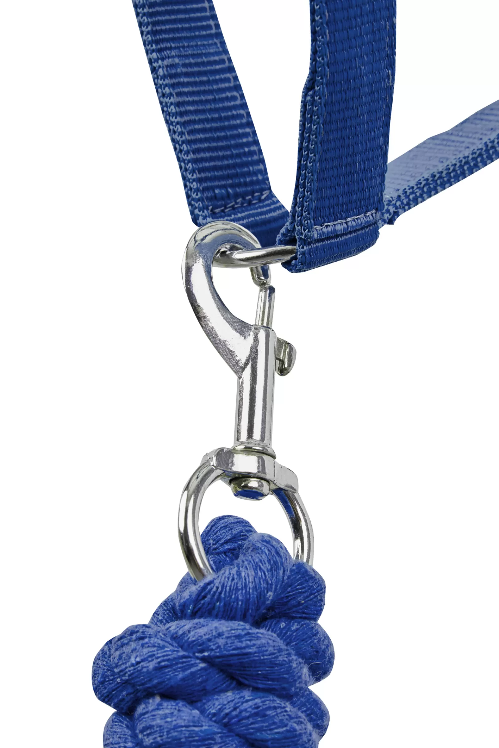 Set Di Cavezza E Corda Per Guinzaglio >* Best Sale