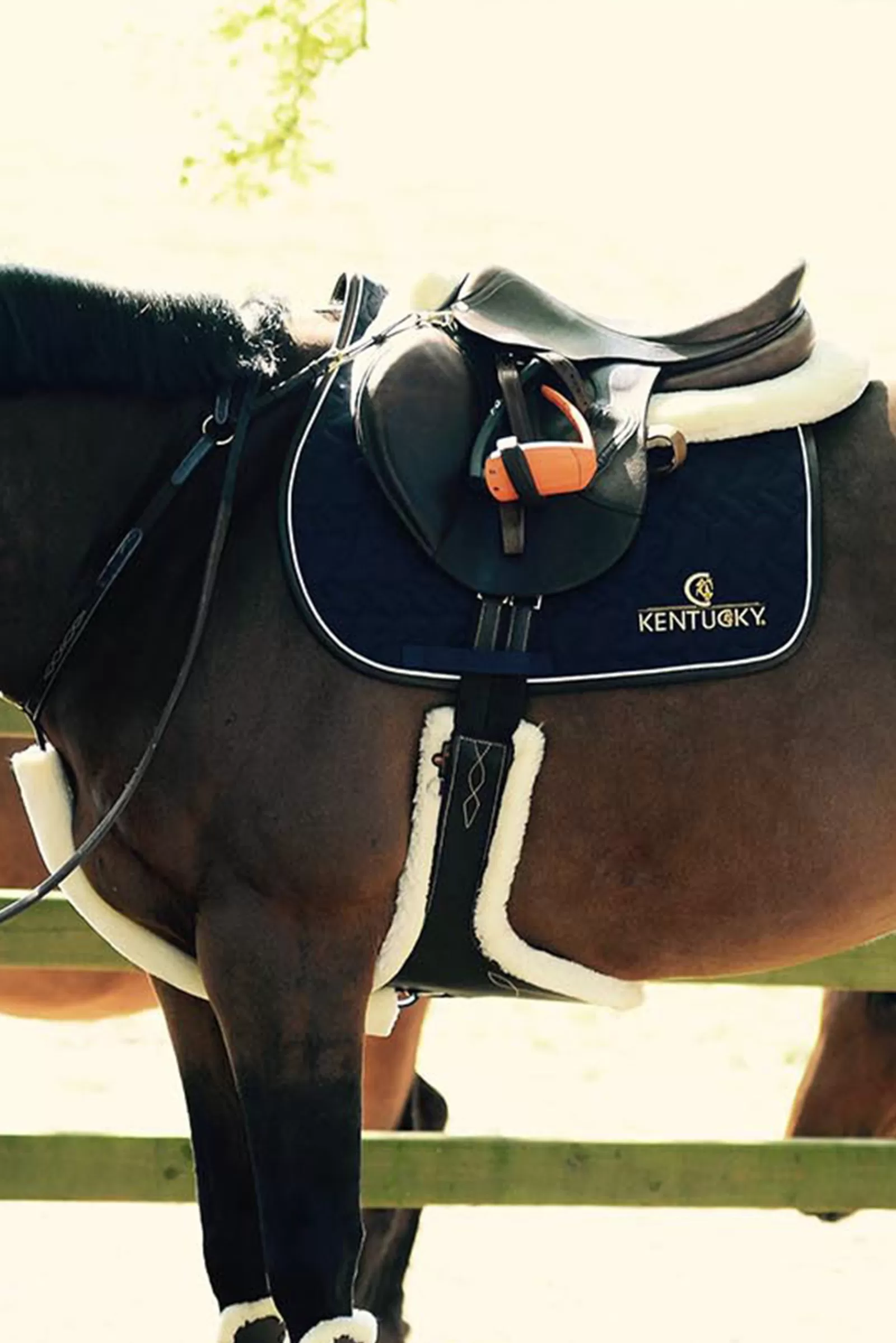 Sottopancia Per Borchie In Pelle Di Pecora Horsewear>kentucky Sale