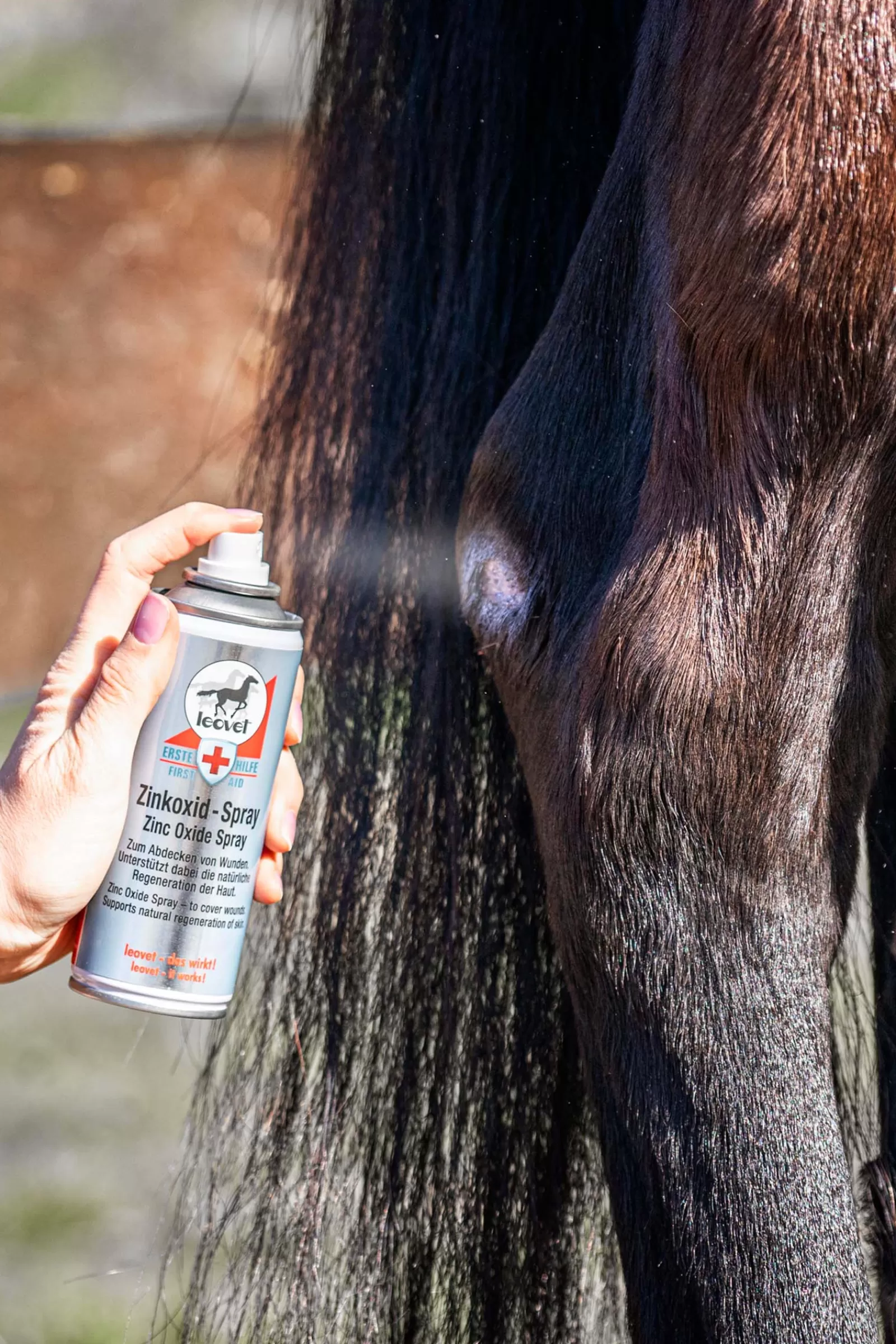 leovet Pronto Soccorso Per Cavallo | Spray All'Ossido Di Zinco Clear