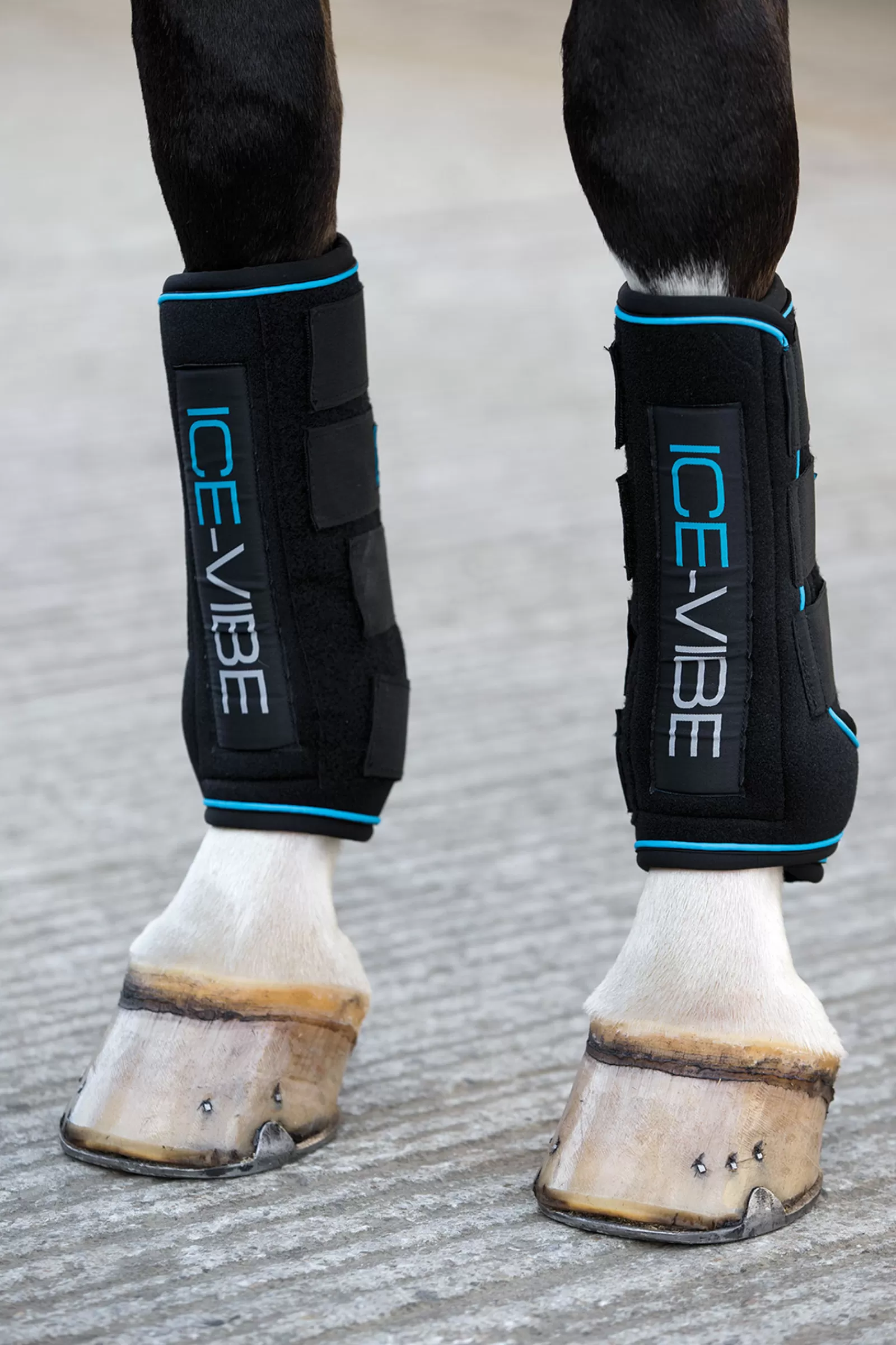 horseware Sottofasce Per Cavalli | Stivali Ice Vibe Black/Aqua Blue