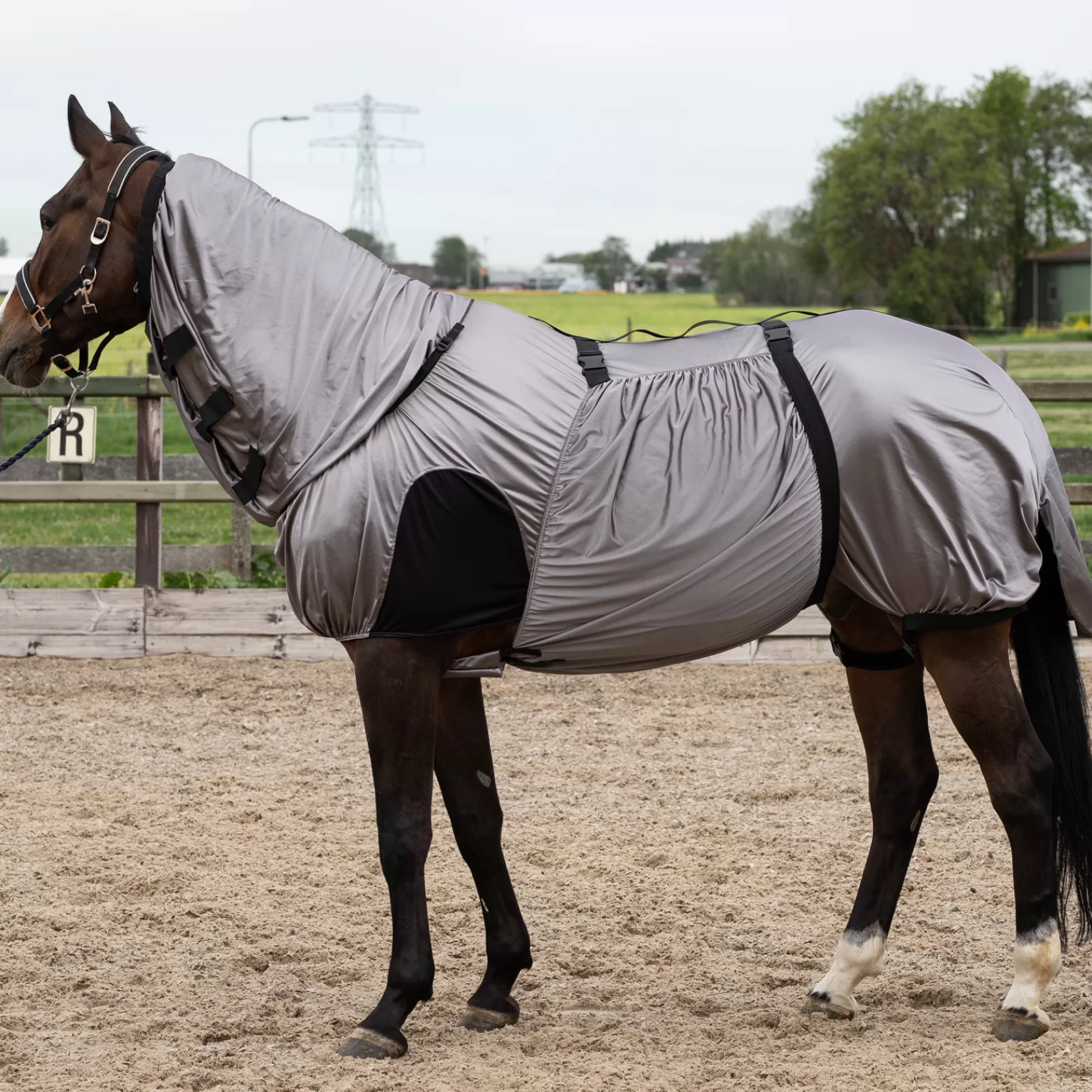 Tappeto Harry'S Horse Sweet Itch Con Collo Fisso>harryshorse Best Sale