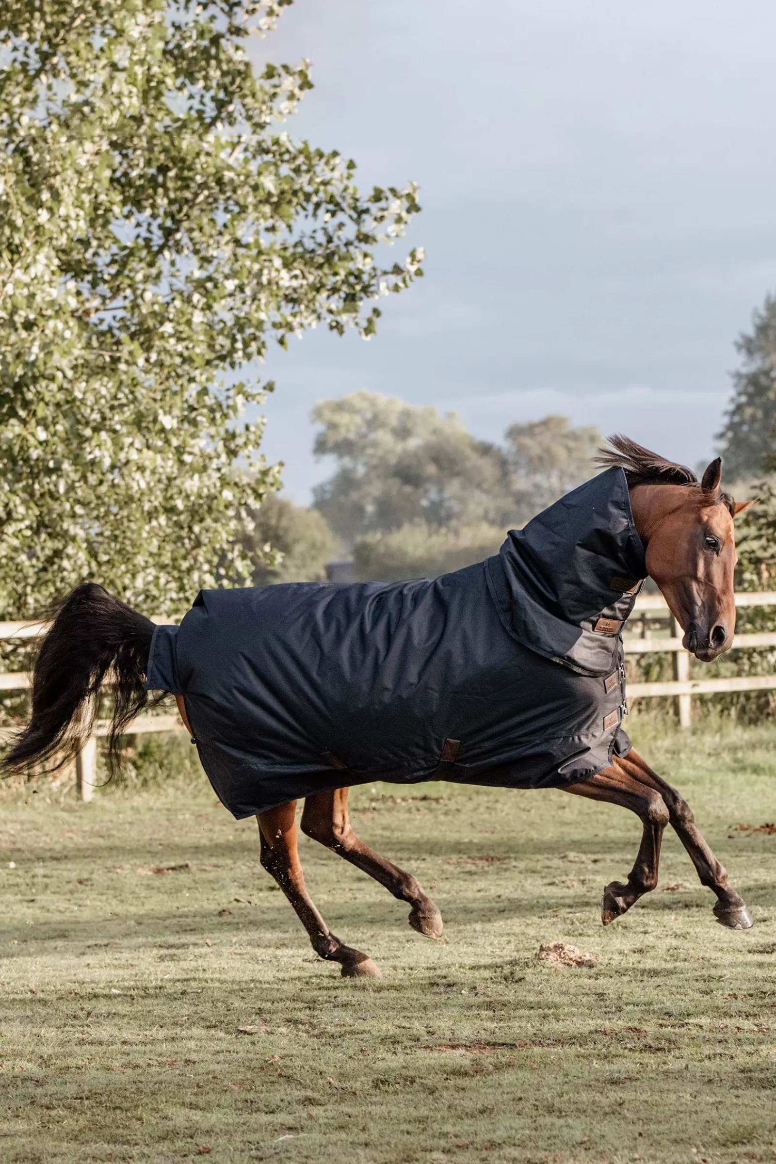 Tappeto Horsewear Turnout, Impermeabile Per Tutte Le Condizioni Atmosferiche, Classico, 150 G>kentucky Outlet