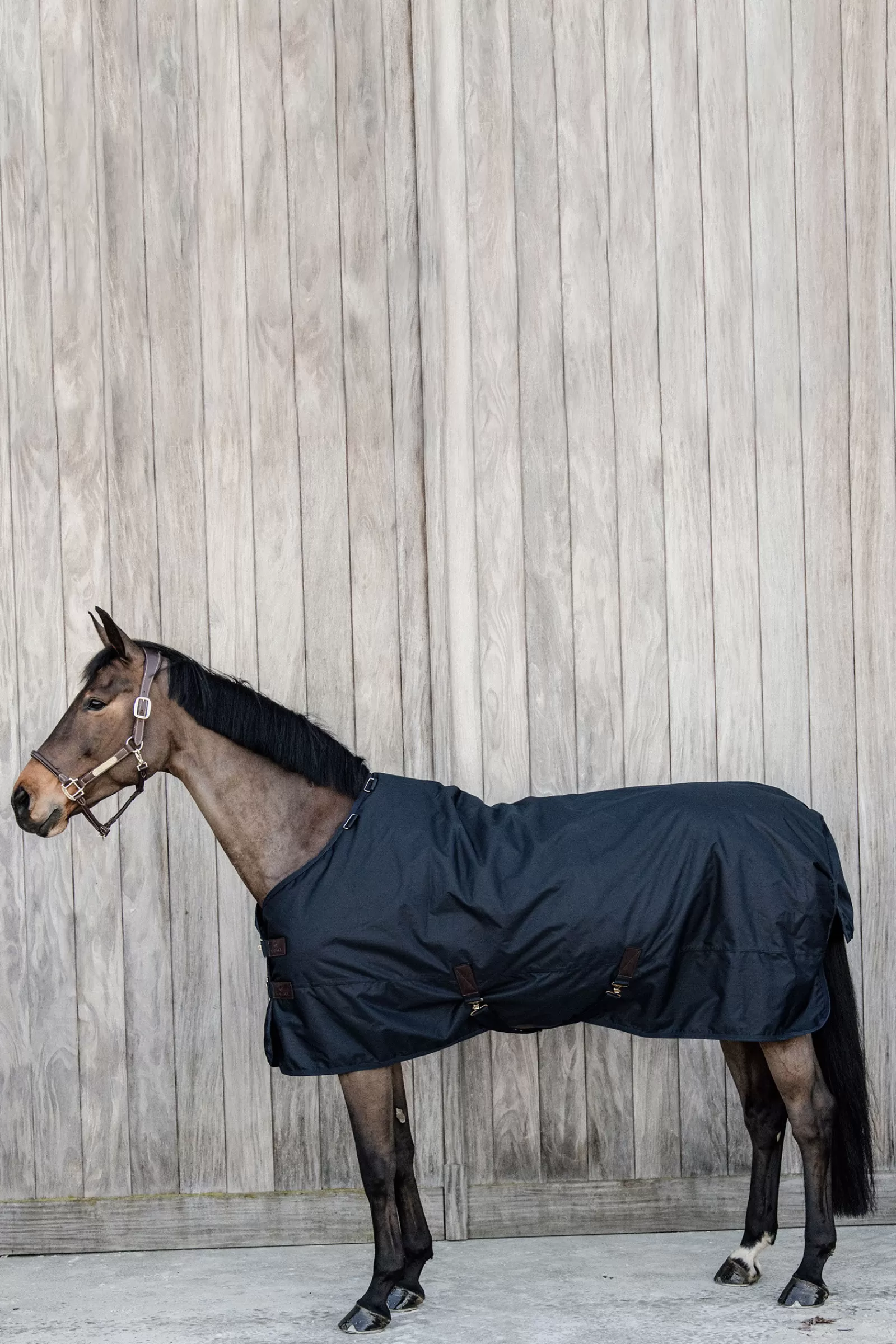 Tappeto Horsewear Turnout, Impermeabile Per Tutte Le Condizioni Atmosferiche, Classico, 150 G>kentucky Outlet