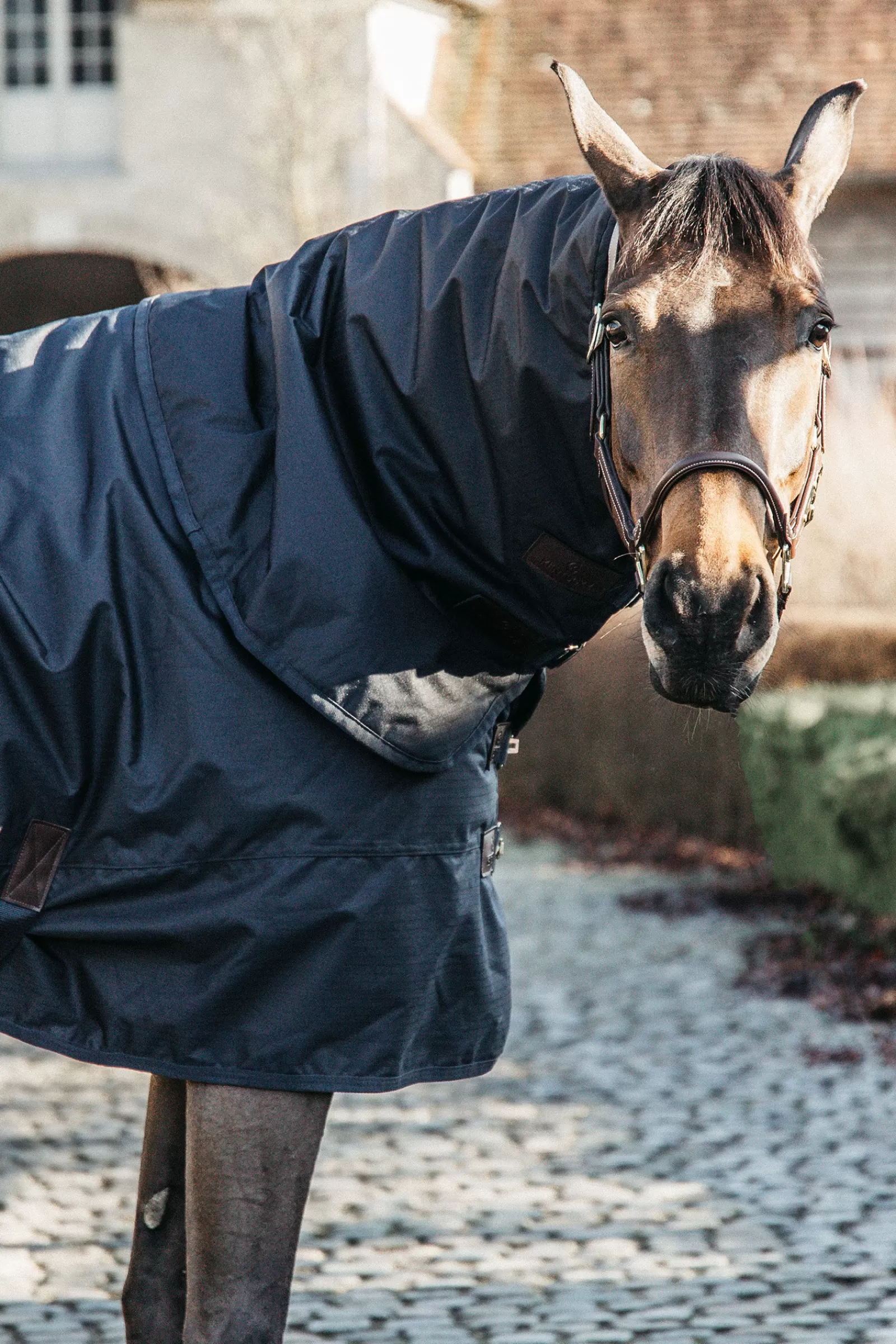Tappeto Horsewear Turnout, Impermeabile Per Tutte Le Condizioni Atmosferiche, Classico, 150 G>kentucky Outlet