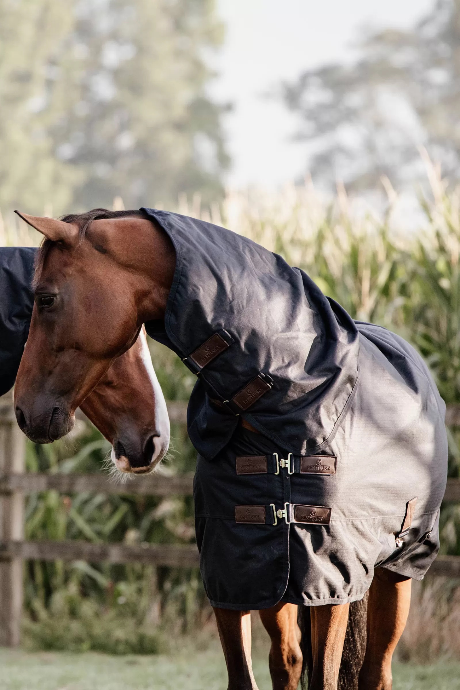 Tappeto Horsewear Turnout, Impermeabile Per Tutte Le Condizioni Atmosferiche, Classico, 150 G>kentucky Outlet