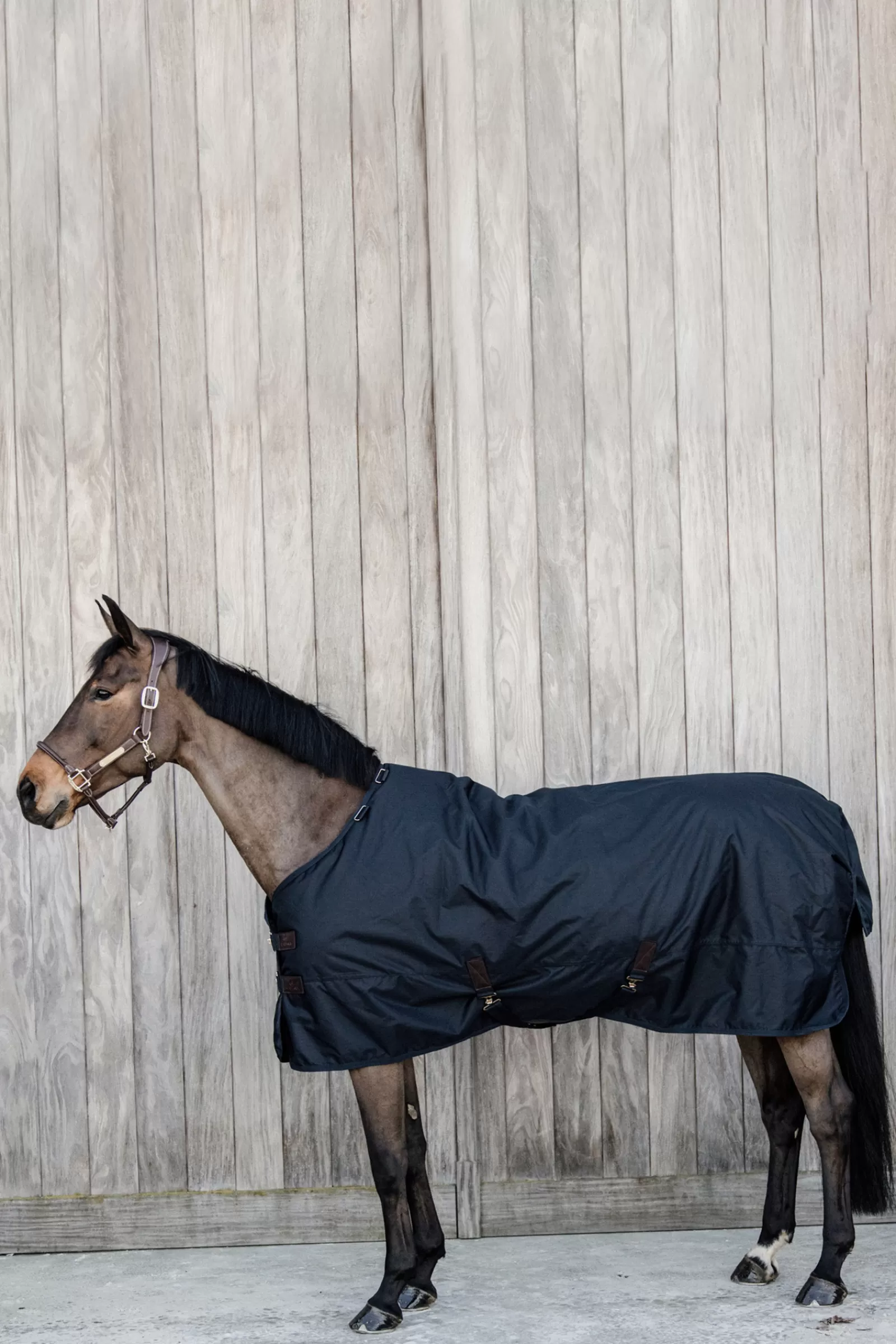 Tappeto Horsewear Turnout, Impermeabile Per Tutte Le Condizioni Atmosferiche, Classico, 50 G>kentucky Cheap
