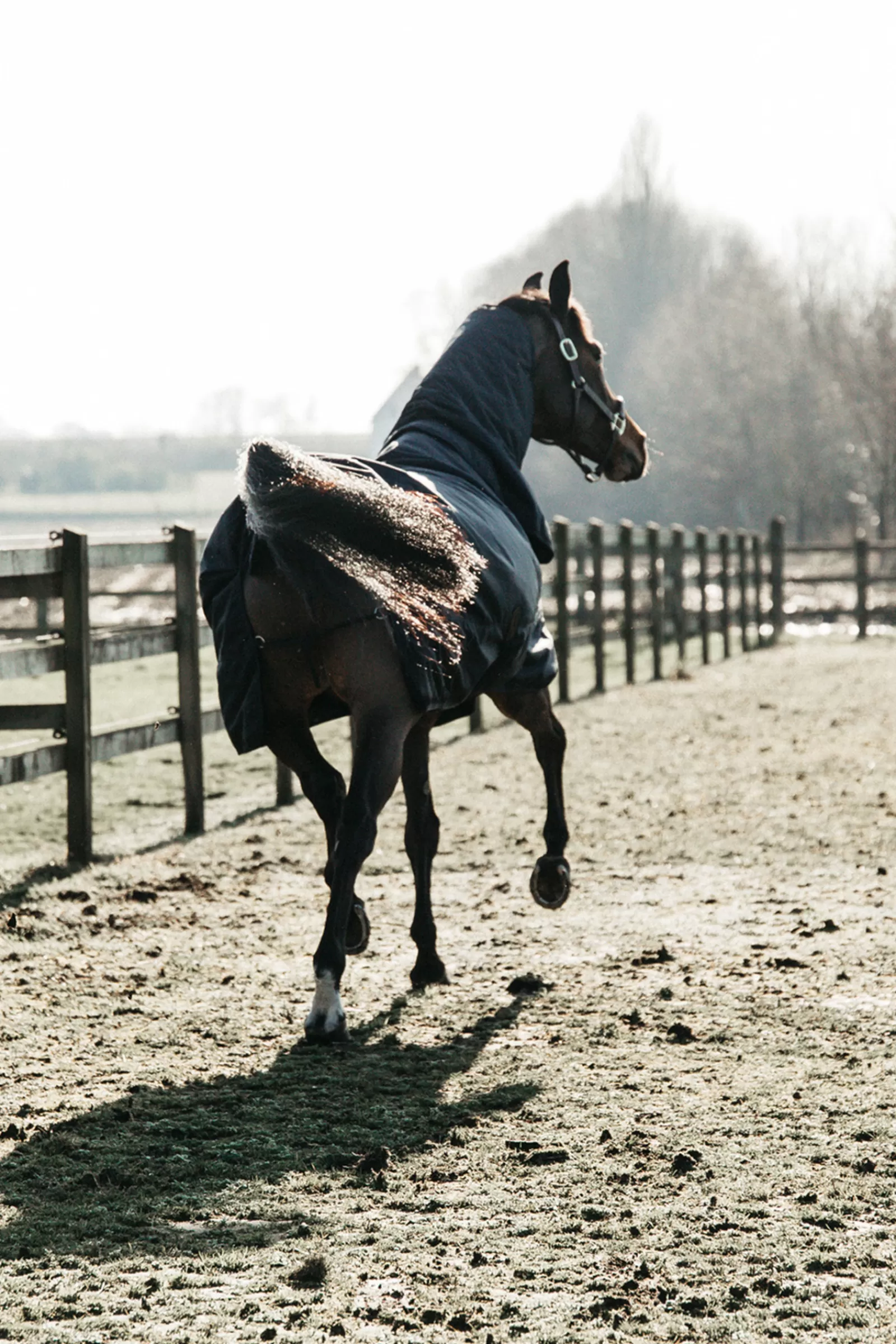 Tappeto Horsewear Turnout, Impermeabile Per Tutte Le Condizioni Atmosferiche, Classico, 50 G>kentucky Cheap