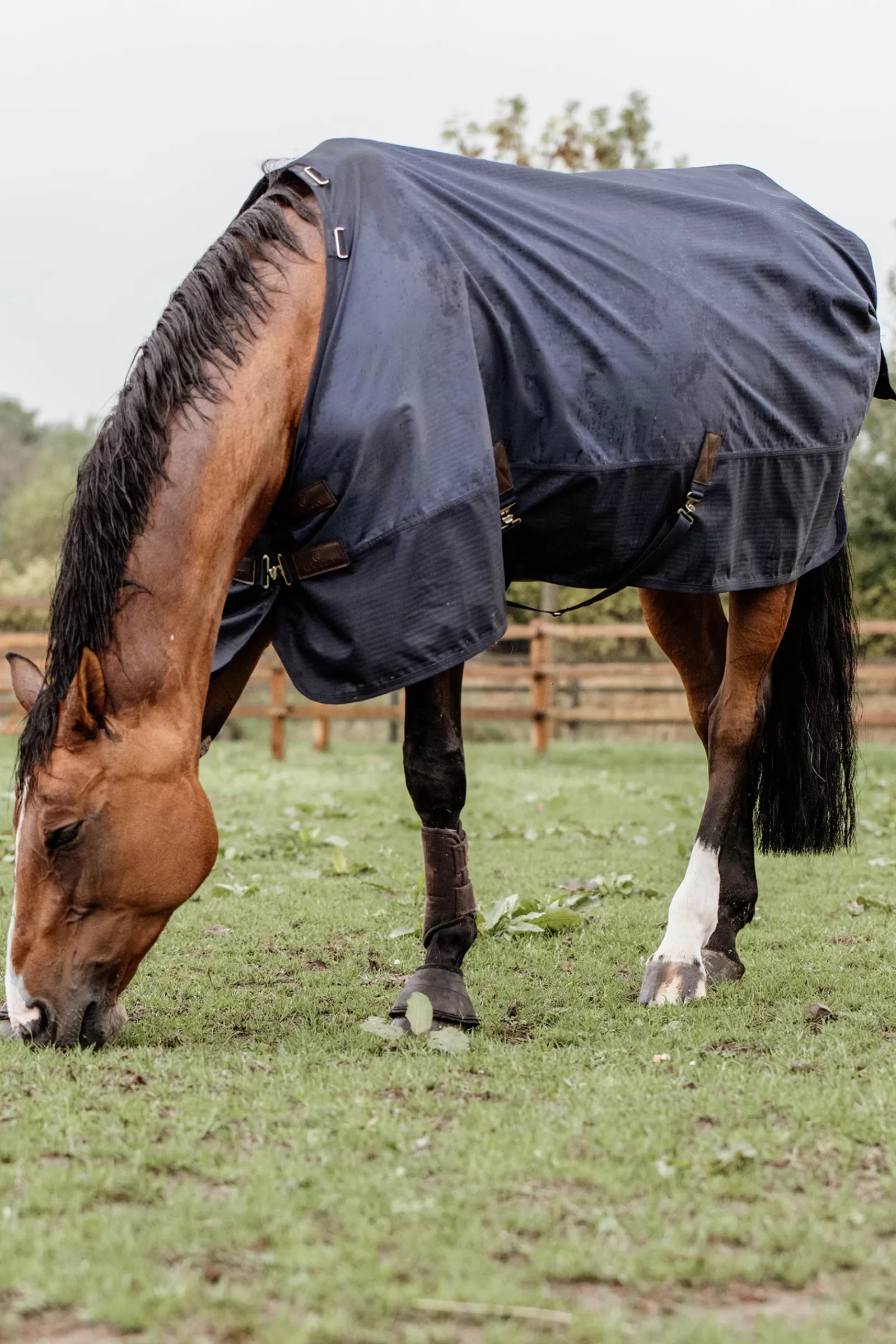 Tappeto Horsewear Turnout Per Tutte Le Stagioni, 300 G>kentucky Online