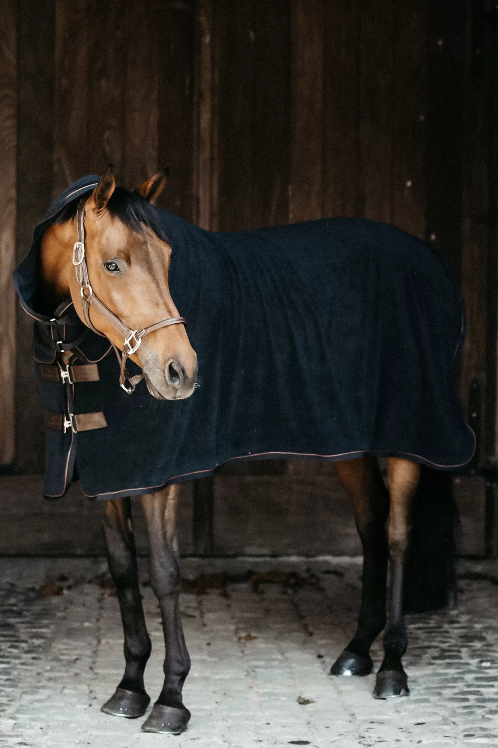 Tappeto Refrigerante Per Asciugamani Horsewear>kentucky Clearance