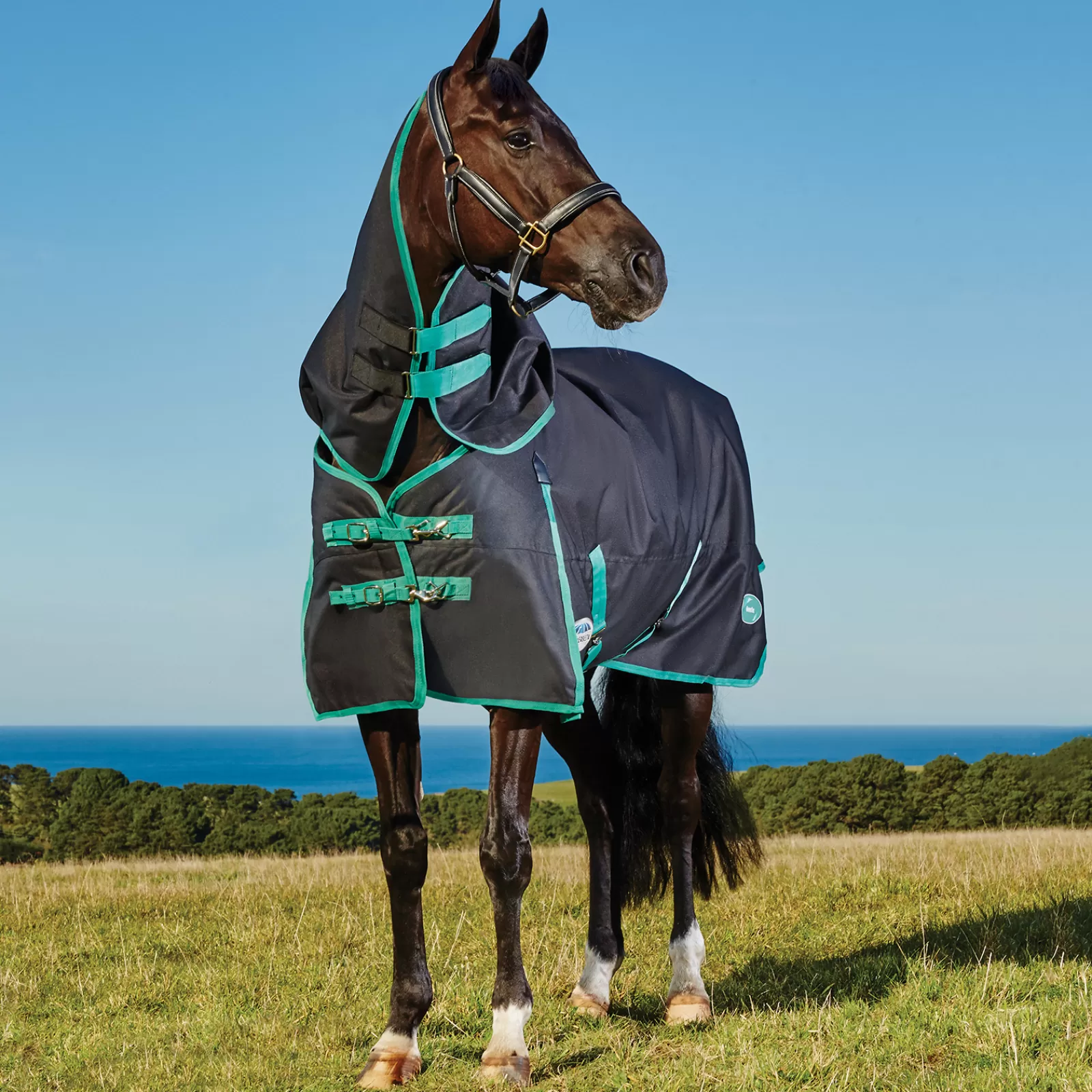 Tappeto Green-Tec Turnout Con Collo Staccabile, 50 G>weatherbeeta New