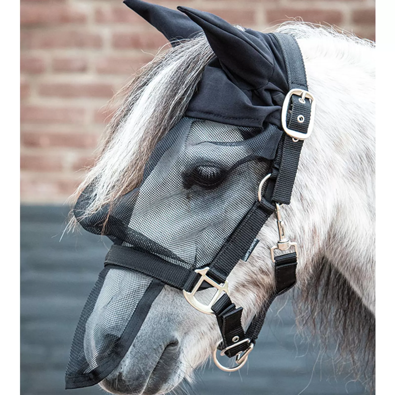 Testata Con Maschera Antimosche Di Cavallo Di Harry Con Orecchie>harryshorse Flash Sale