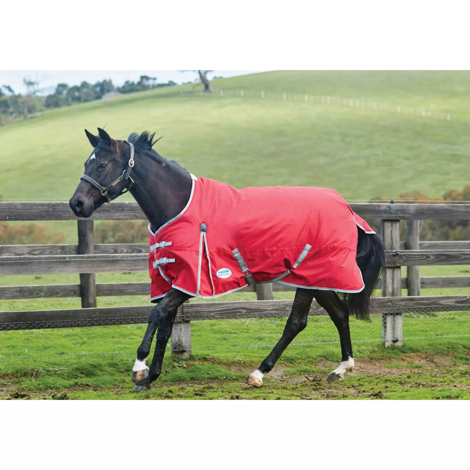 Comfitec Classic Coperta Da Turnout, 220 Gr>weatherbeeta Sale