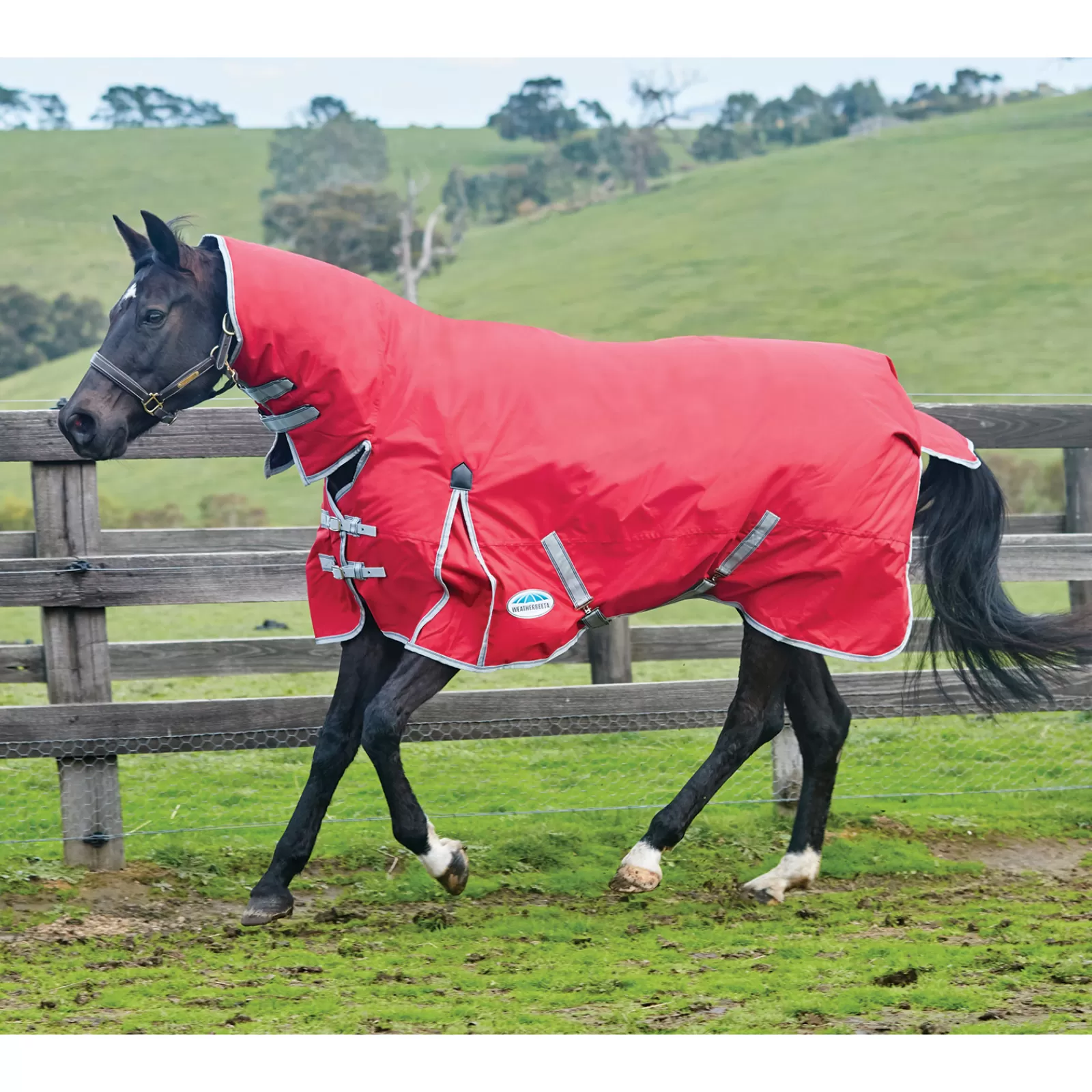 Comfitec Classic Coperta Da Turnout Con Collo Inamovibile, 0 Gr>weatherbeeta Cheap