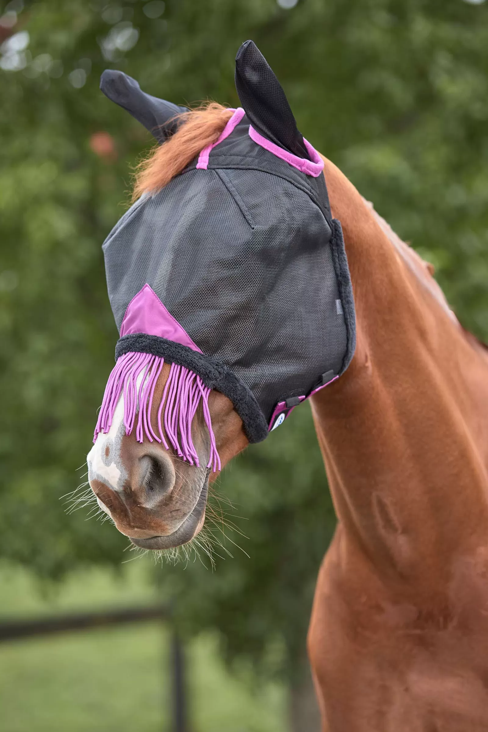 Comfitec Deluxe Maschera Antimosche A Rete Resistente Con Cuffiette E Tasselli>weatherbeeta Discount