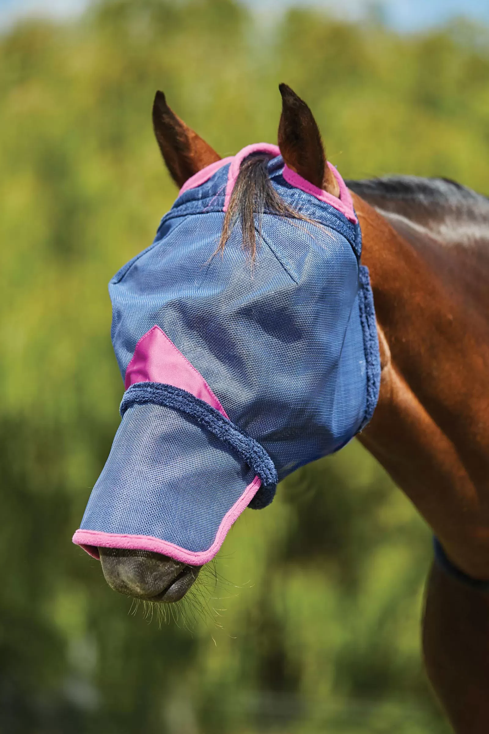 Comfitec Deluxe Maschera Antimosche A Rete Resistente Con Protezione Naso>weatherbeeta Best