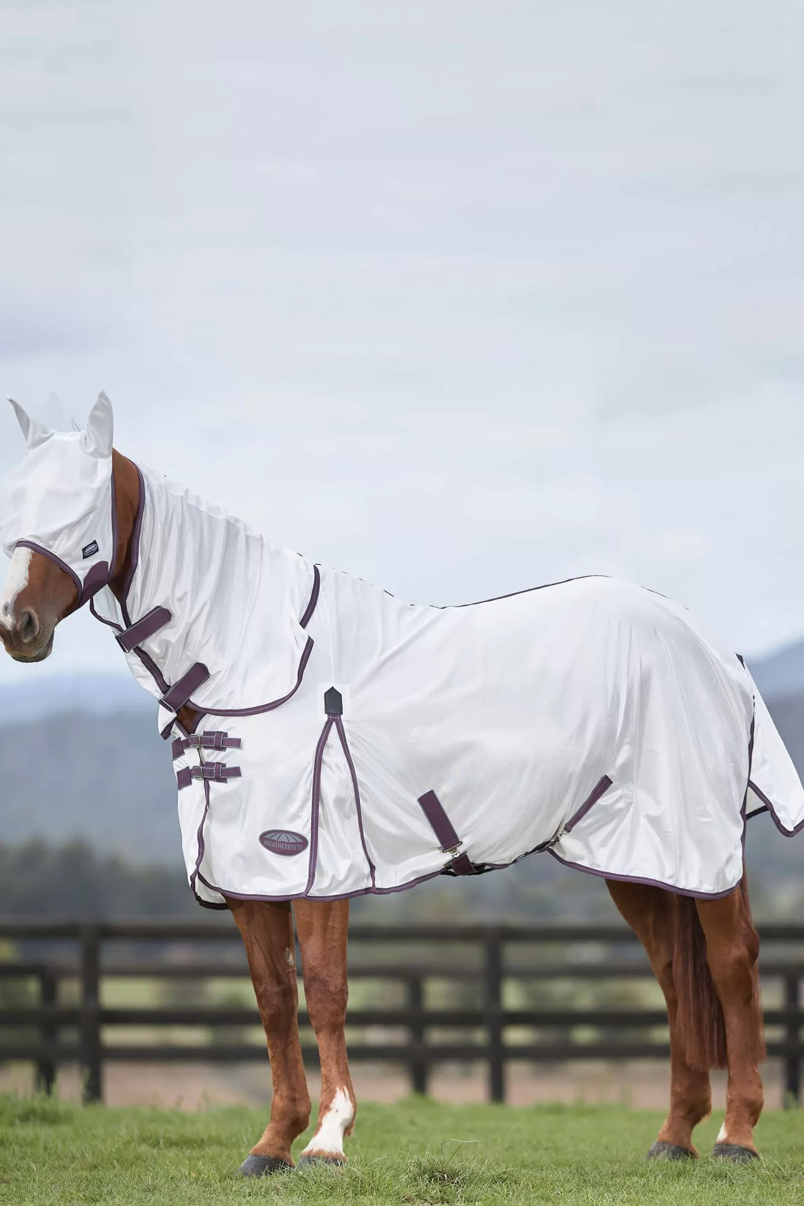 Comfitec Essential Rete Ii Coperta Antimosche Con Collo Inamovibile>weatherbeeta Clearance