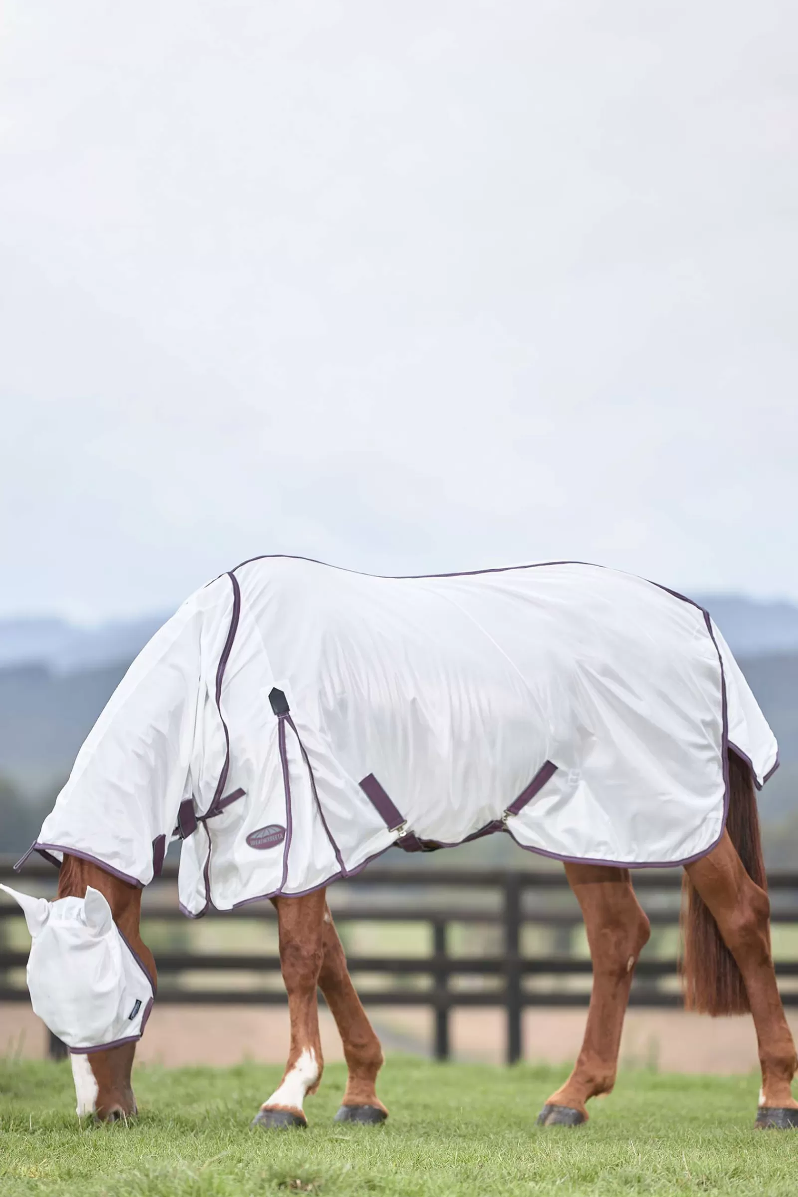 Comfitec Essential Rete Ii Coperta Antimosche Con Collo Inamovibile>weatherbeeta Clearance