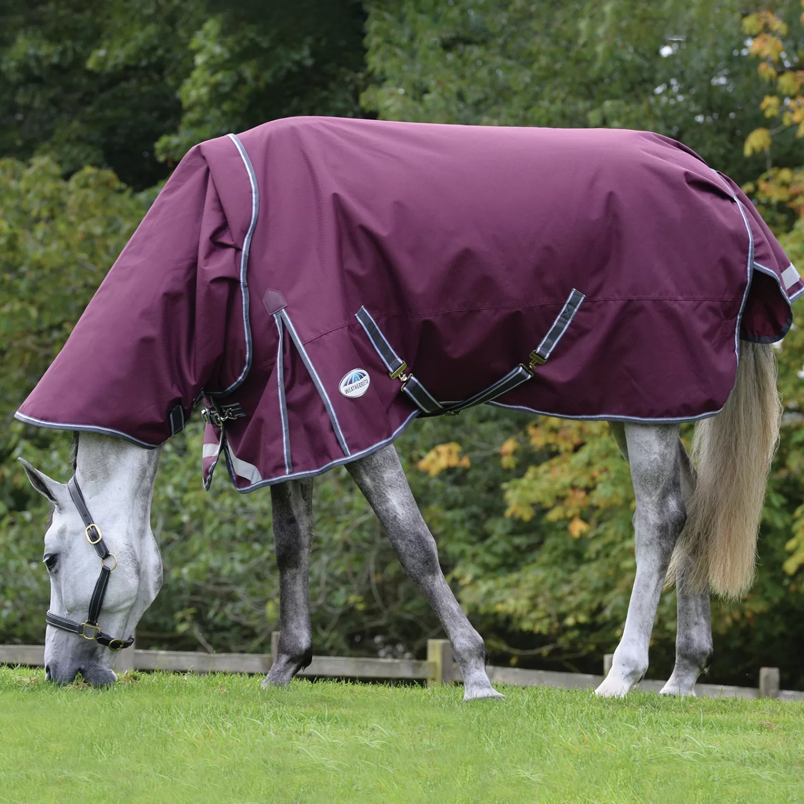 Comfitec Plus Dynamic Ii - Tappeto Per Turnout Staccabile Dal Collo, 0 G>weatherbeeta Best Sale