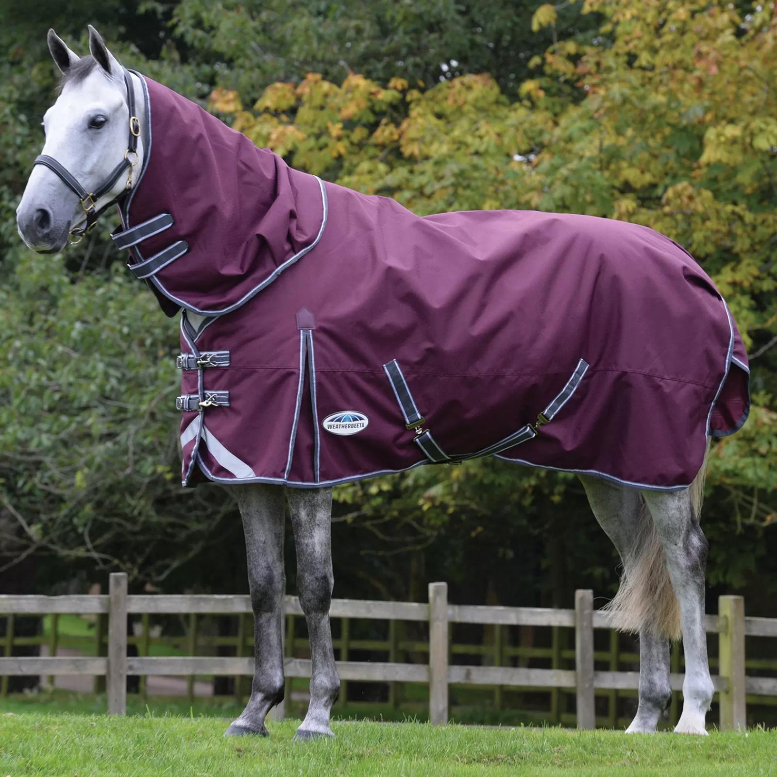 Comfitec Plus Dynamic Ii - Tappeto Per Turnout Staccabile Dal Collo, 100 G>weatherbeeta Shop