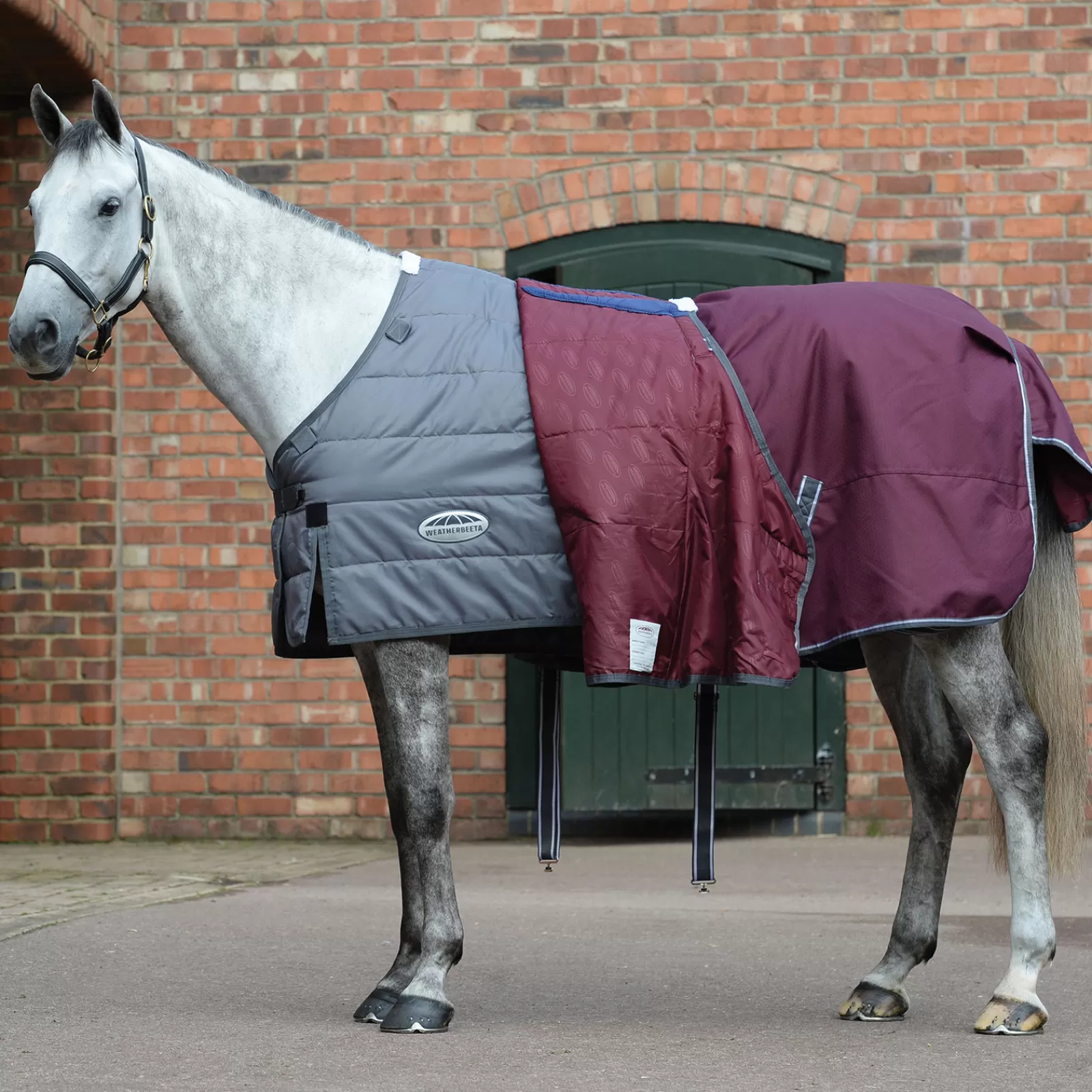 Comfitec Plus Dynamic Ii - Tappeto Per Turnout Staccabile Dal Collo, 100 G>weatherbeeta Shop