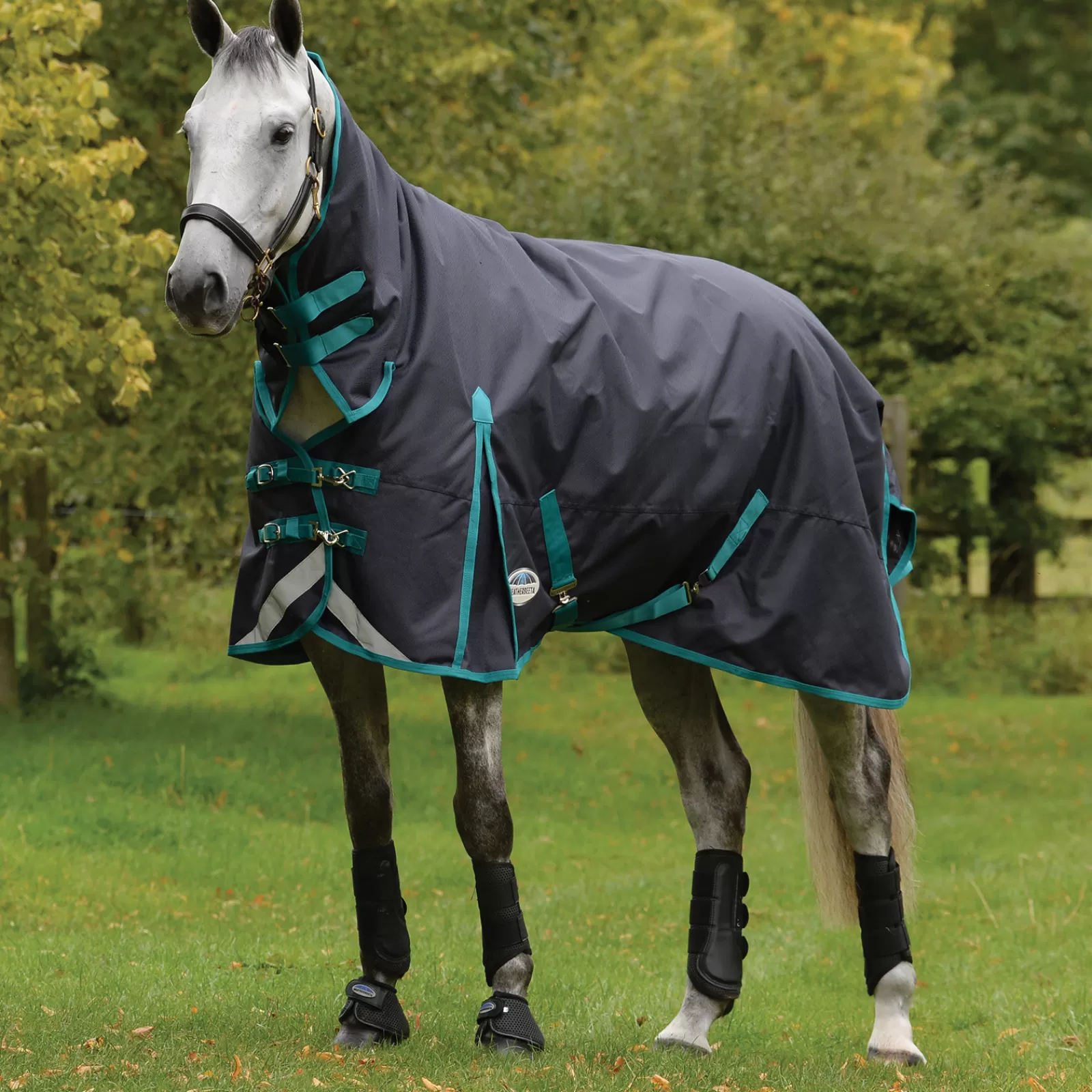 Comfitec Plus Dynamic Ii Combo Coperta Da Turnout Con Collo, 100 Gr>weatherbeeta Shop