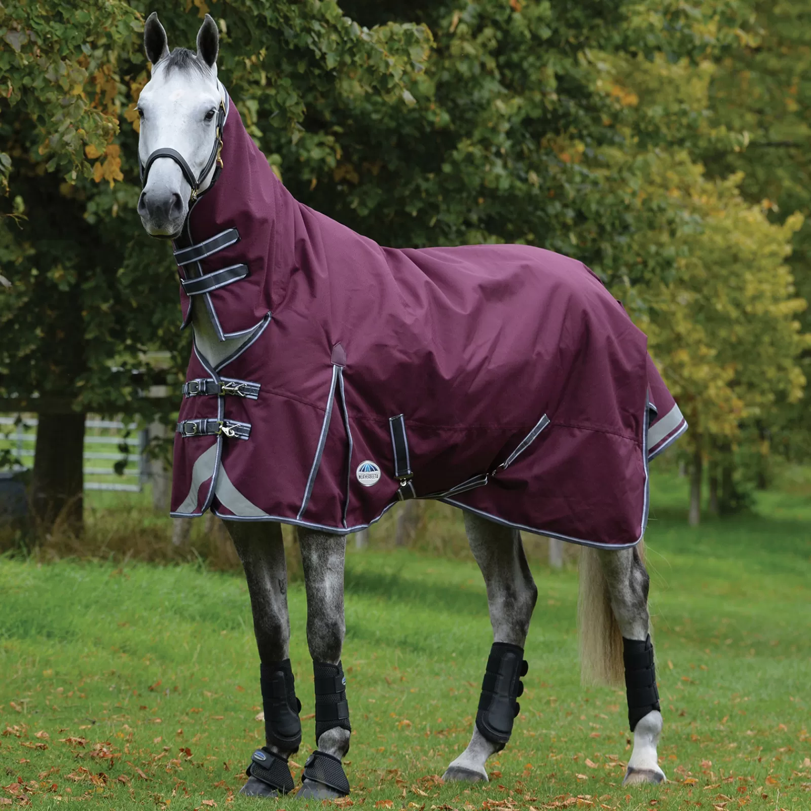 Comfitec Plus Dynamic Ii Combo Coperta Da Turnout Con Collo, 220 Gr>weatherbeeta Outlet