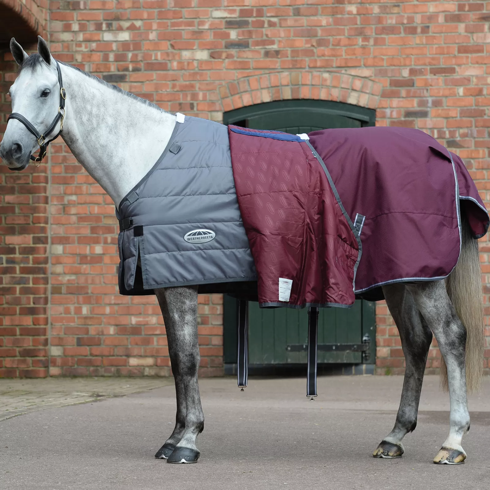 Comfitec Plus Dynamic Ii Combo Coperta Da Turnout Con Collo, 220 Gr>weatherbeeta Outlet
