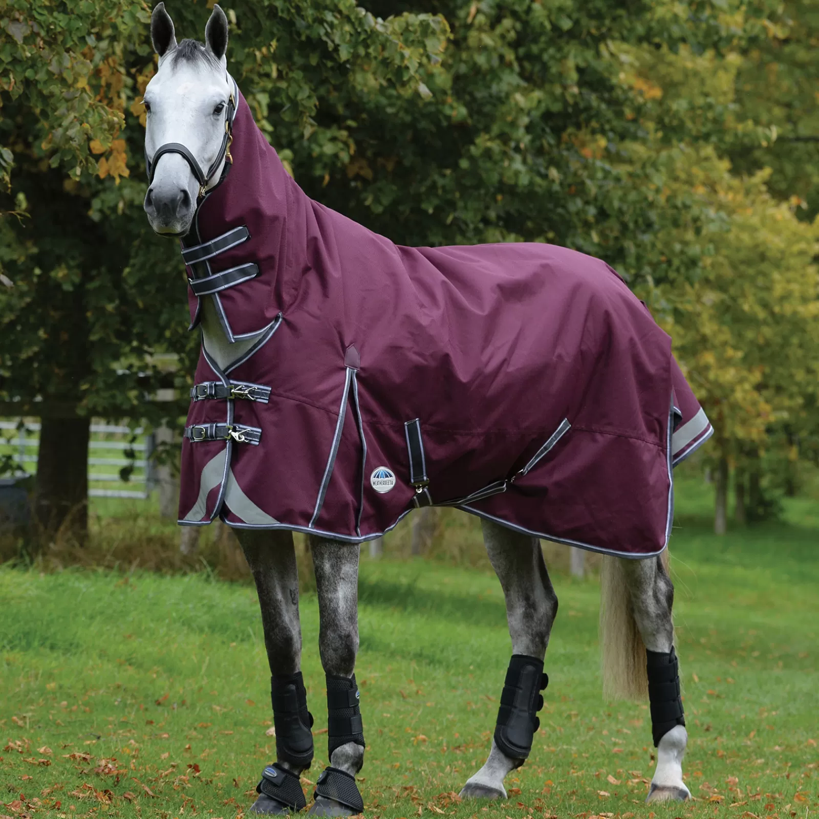 Comfitec Plus Dynamic Ii Coperta Combo Da Turnout Con Collo, 0 Gr>weatherbeeta Online