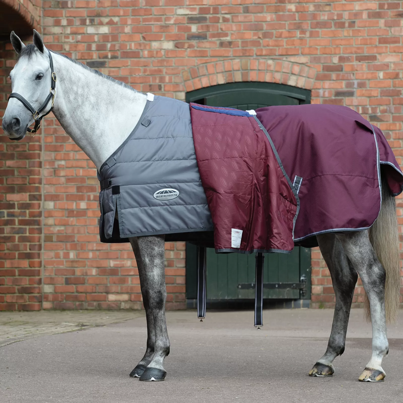 Comfitec Plus Dynamic Ii Coperta Da Turnout Con Collo Amovibile, 220 Gr>weatherbeeta Clearance