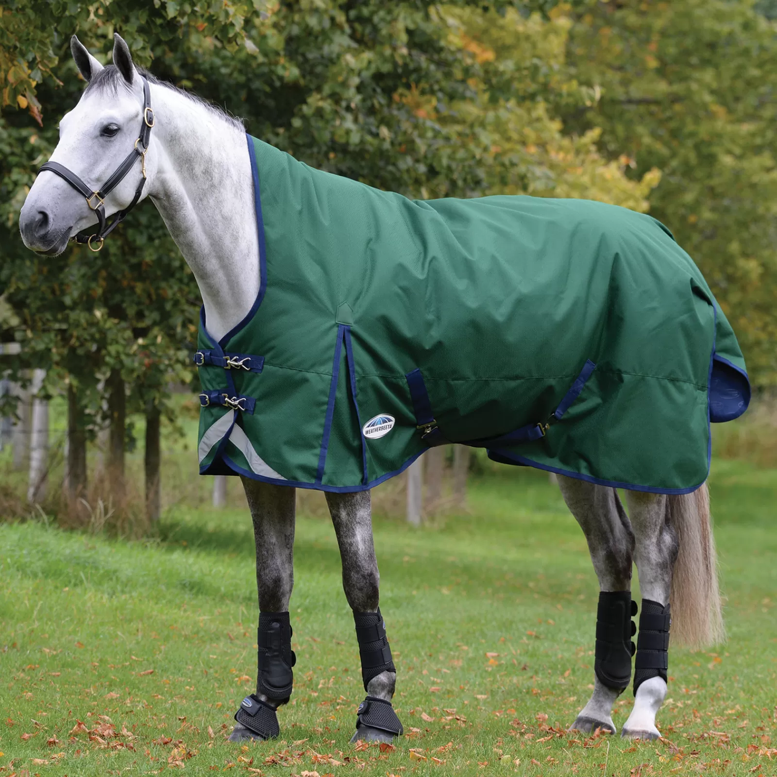 Comfitec Plus Dynamic Ii Tappeto Turnout Collo Alto, 0G>weatherbeeta Best