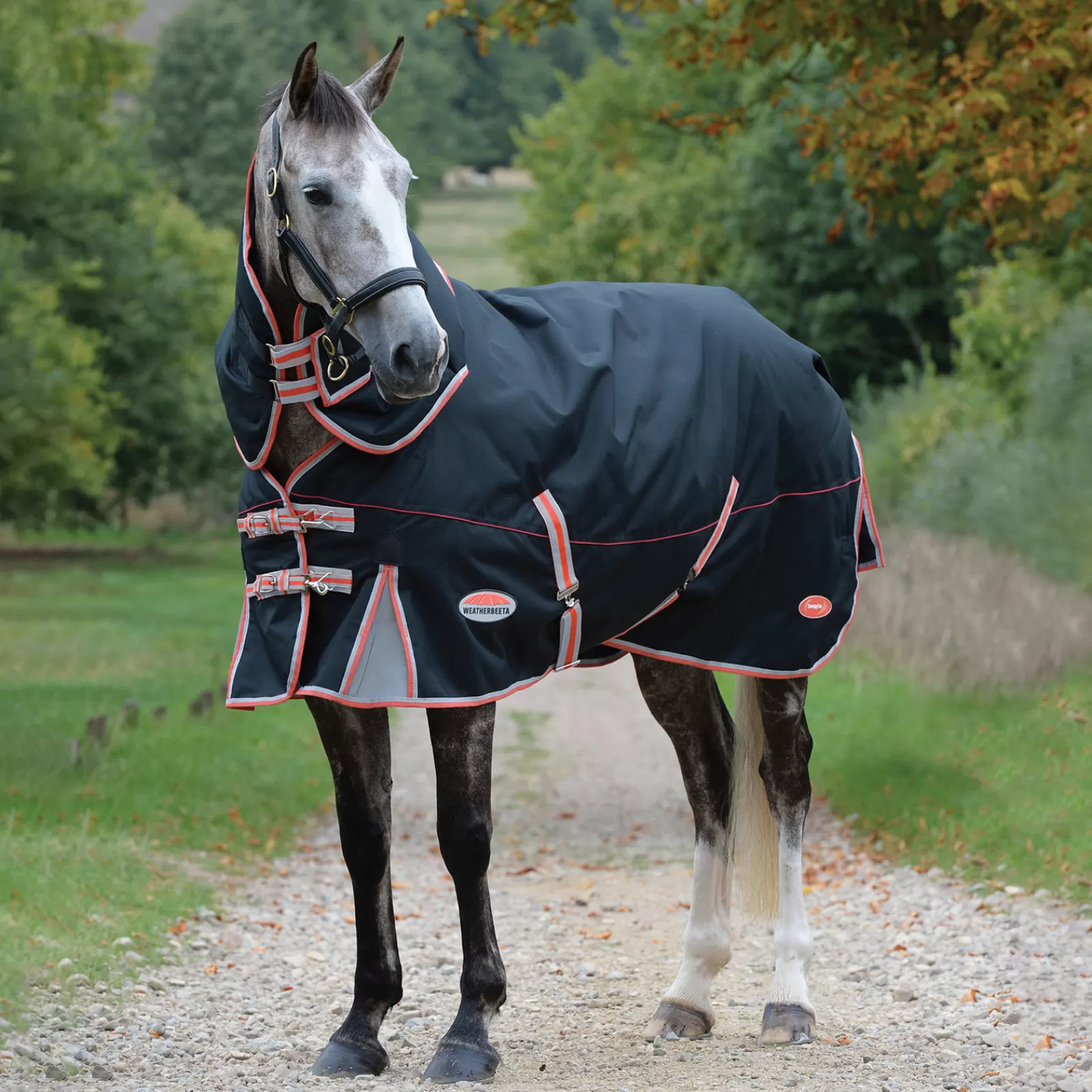 Comfitec Premier Con Therapy-Tec Incl. Collo Staccabile, 220 G>weatherbeeta Shop