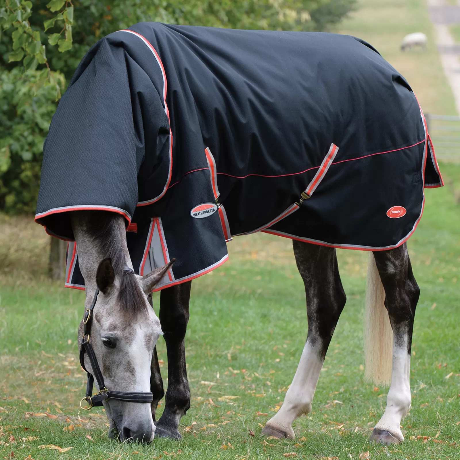 Comfitec Premier Con Therapy-Tec Incl. Collo Staccabile, 220 G>weatherbeeta Shop