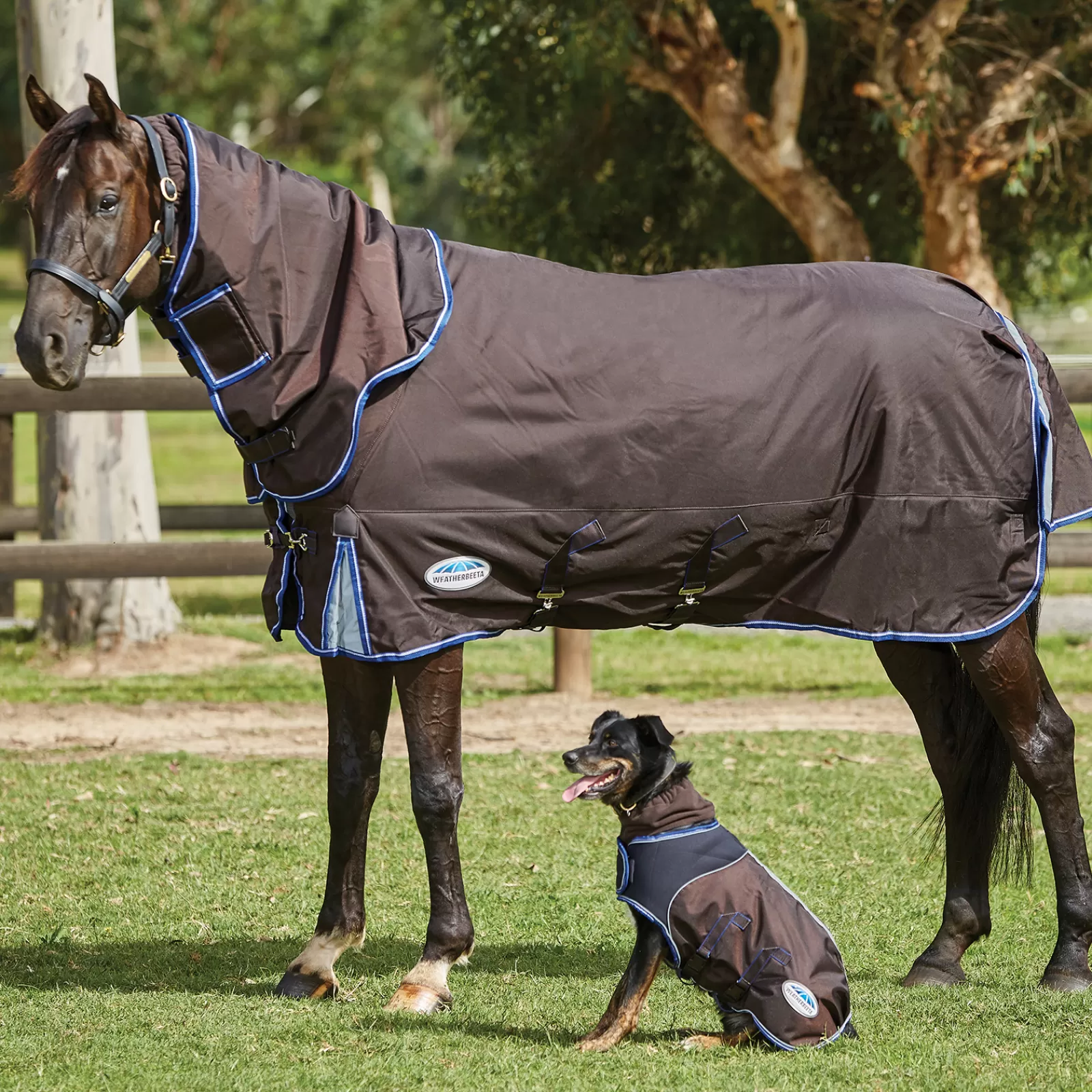 Comfitec Ultra Cozi Ii Tappeto Turnout Staccabile Dal Collo, 100G>weatherbeeta Fashion